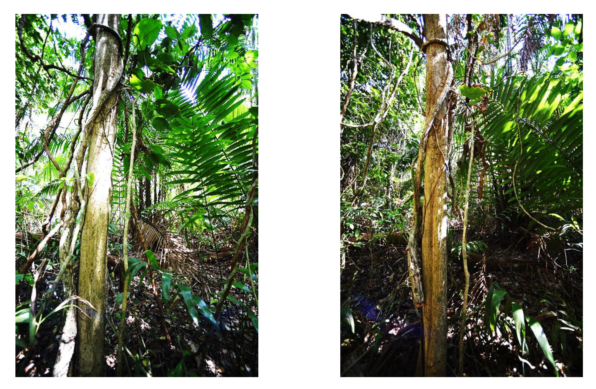 Remotesensing 10 00810 g002 Remotesensing 10 00810 g002