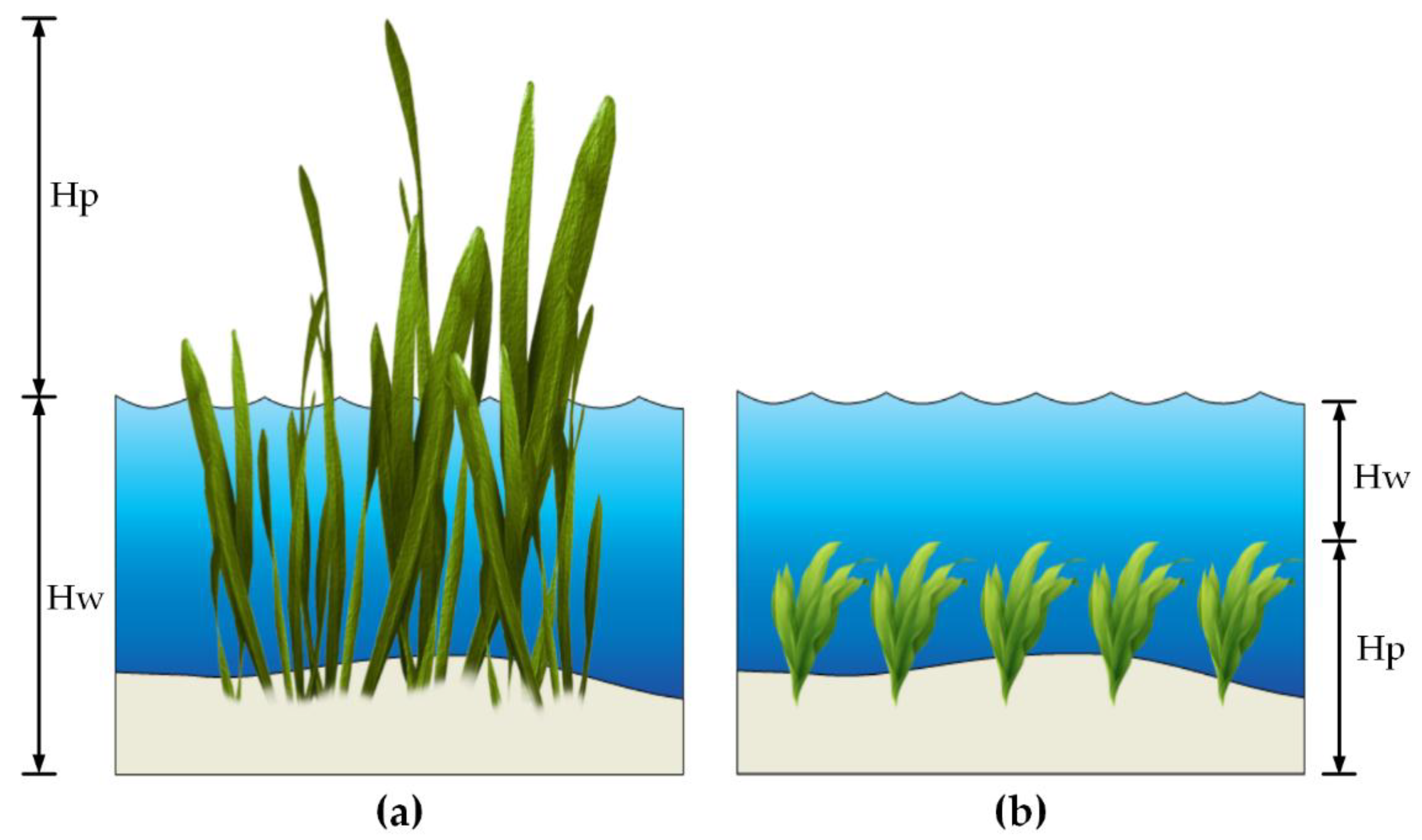 remote sensing free full text canopy reflectance modeling of aquatic vegatation