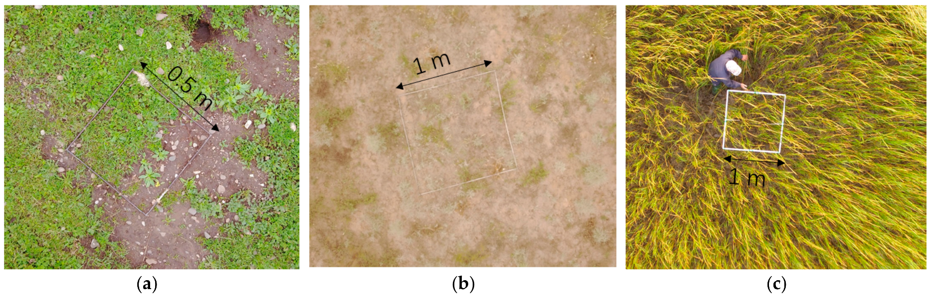 Remotesensing 10 00851 g005