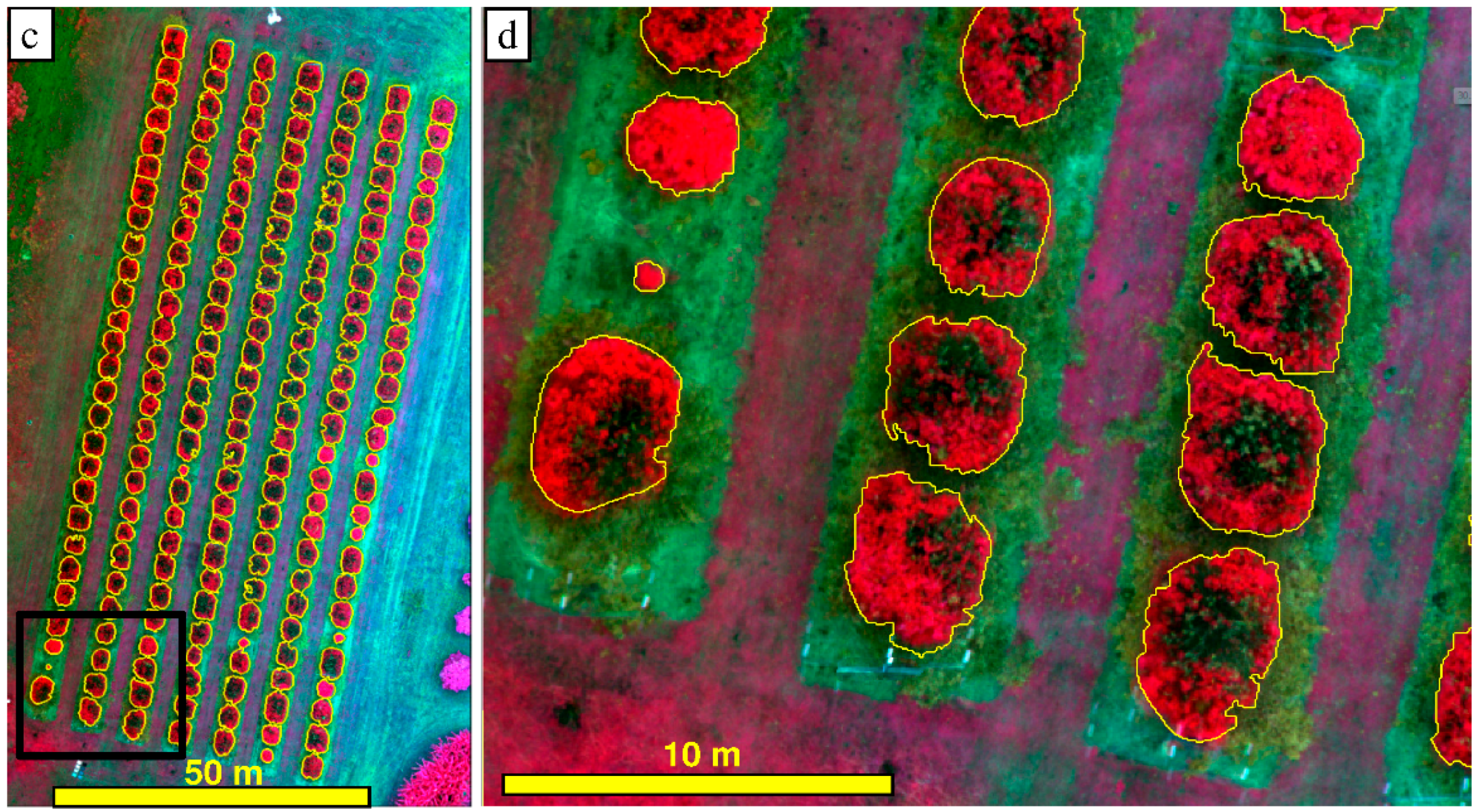 Remotesensing 10 00854 g006b