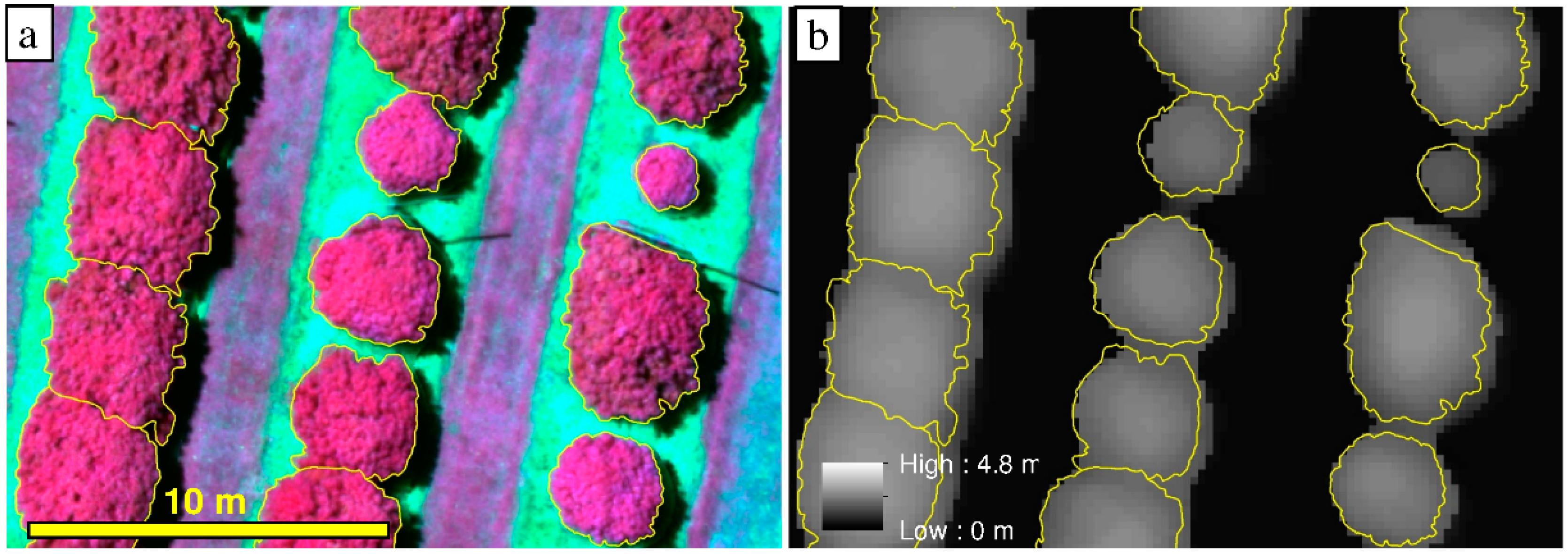Remotesensing 10 00854 g007