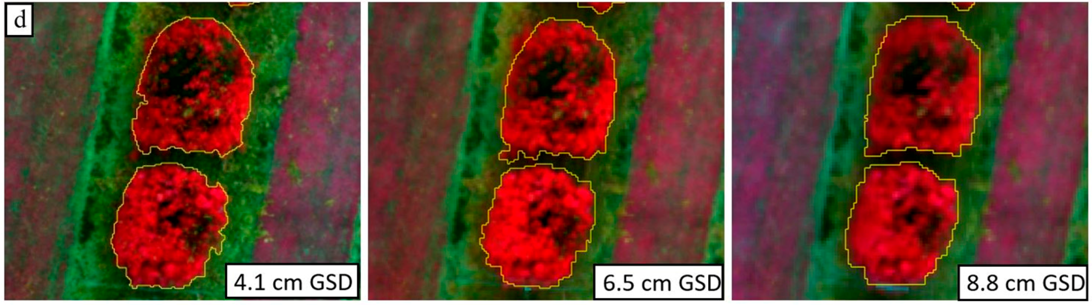 Remotesensing 10 00854 g008b