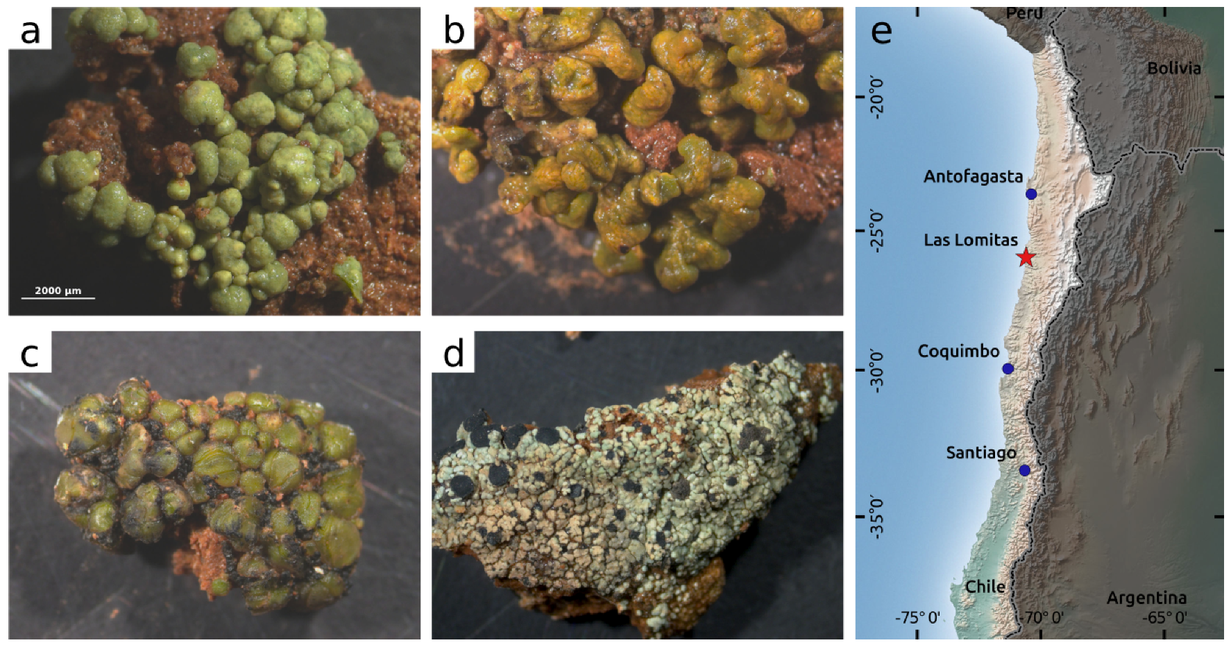 Remotesensing 10 00891 g001