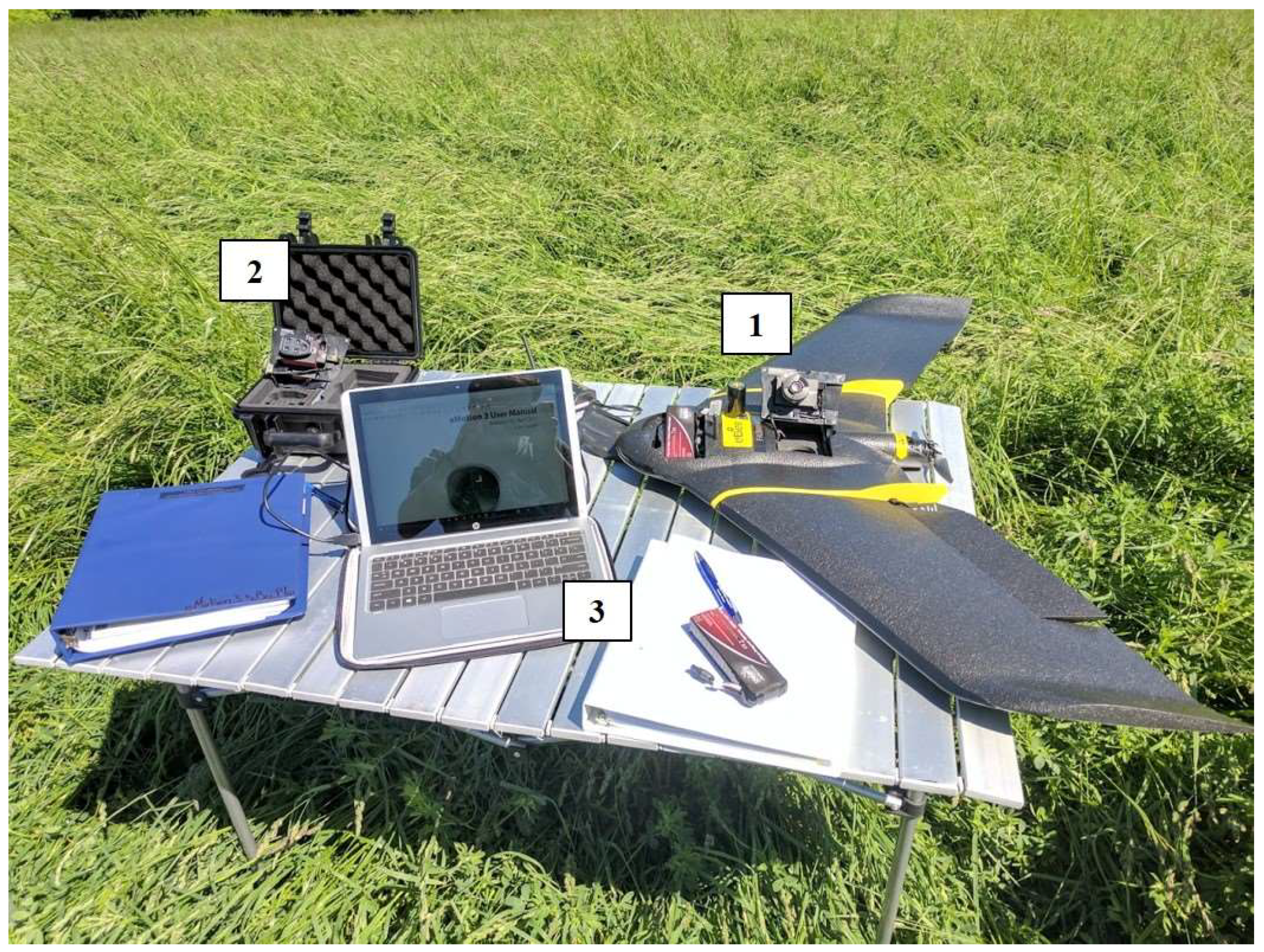 Remotesensing 10 00908 g002