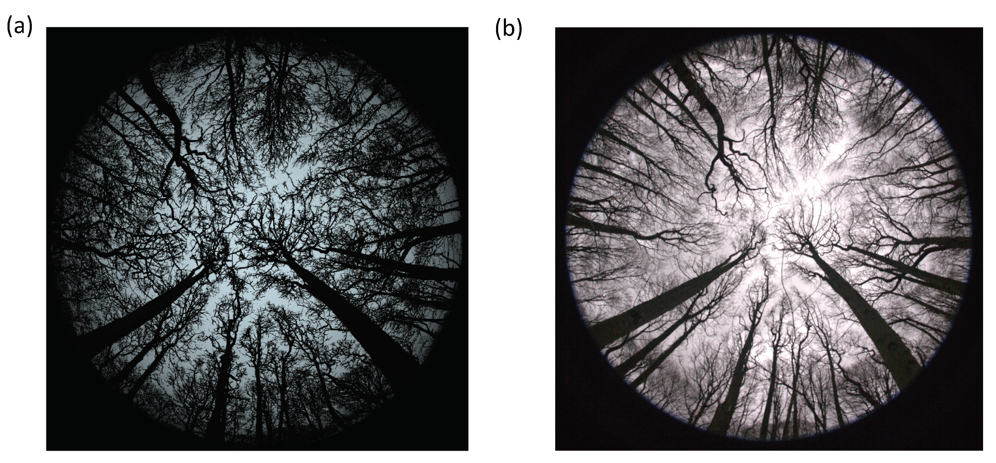 Remotesensing 10 00933 g006