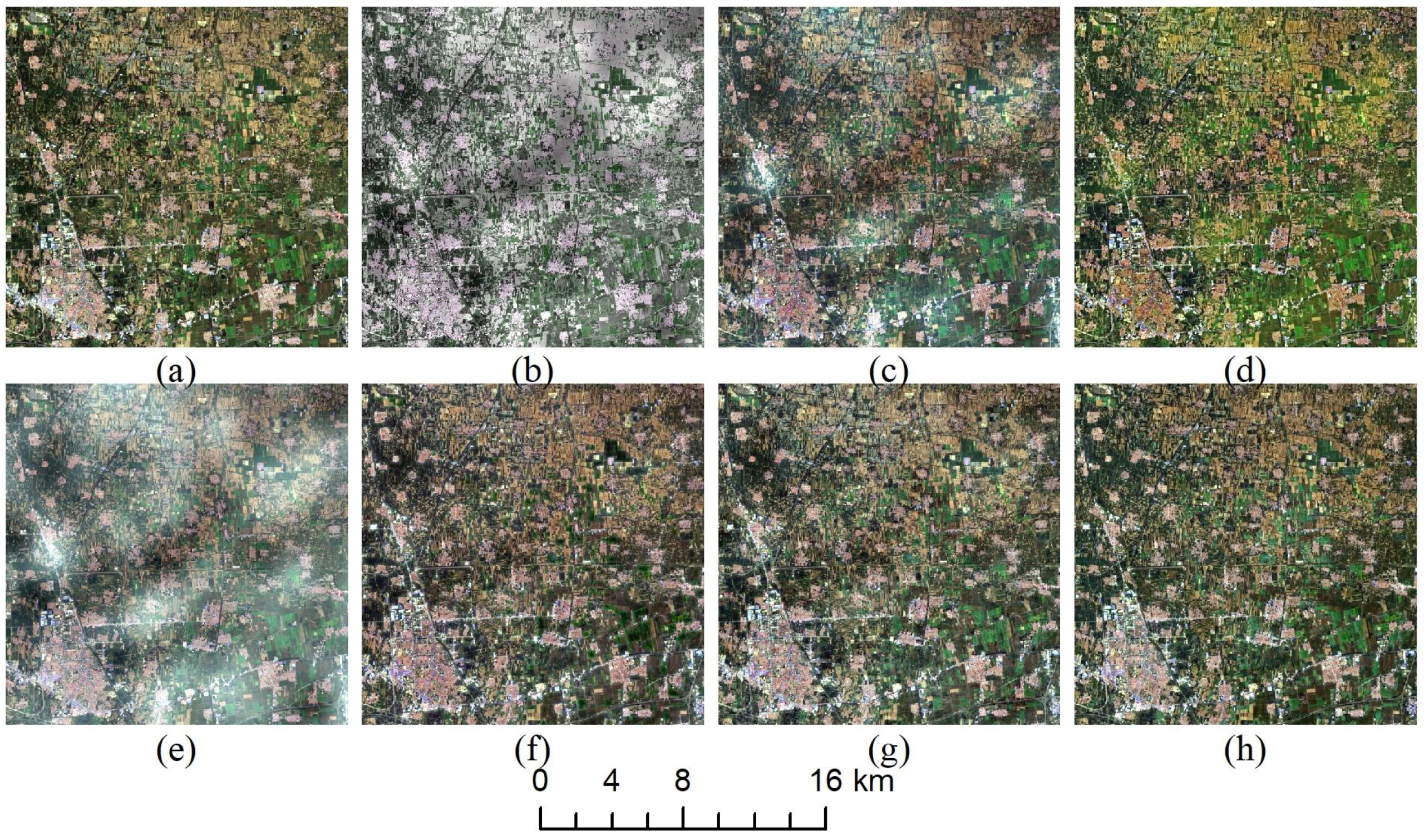 Remotesensing 10 00945 g009