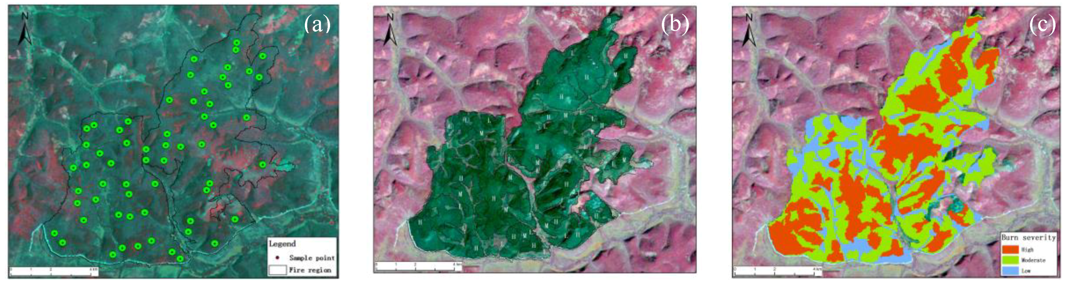 Remotesensing 10 01000 g003 Remotesensing 10 01000 g003