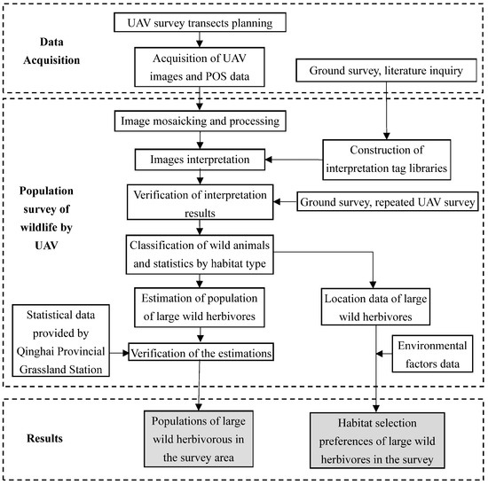 Remote Sensing | Free Full-Text | Application of UAV Remote Sensing for a Population Census of Large Wild Herbivores—Taking the Headwater Region of the Yellow River as an Example Remote Sensing | Free Full-Text | Application of UAV Remote Sensing for a Population Census of Large Wild Herbivores—Taking the Headwater Region of the Yellow River as an Example