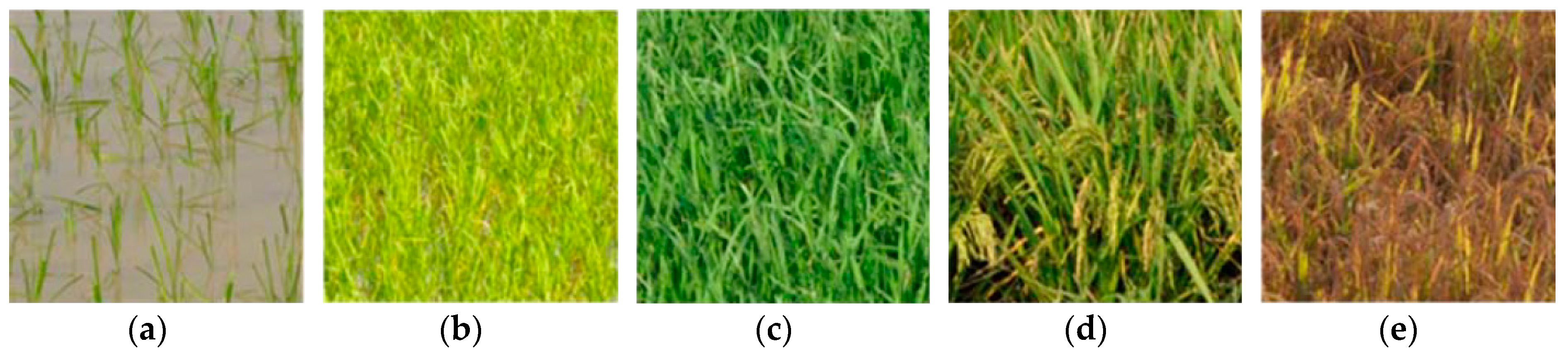 Remotesensing 10 01092 g008