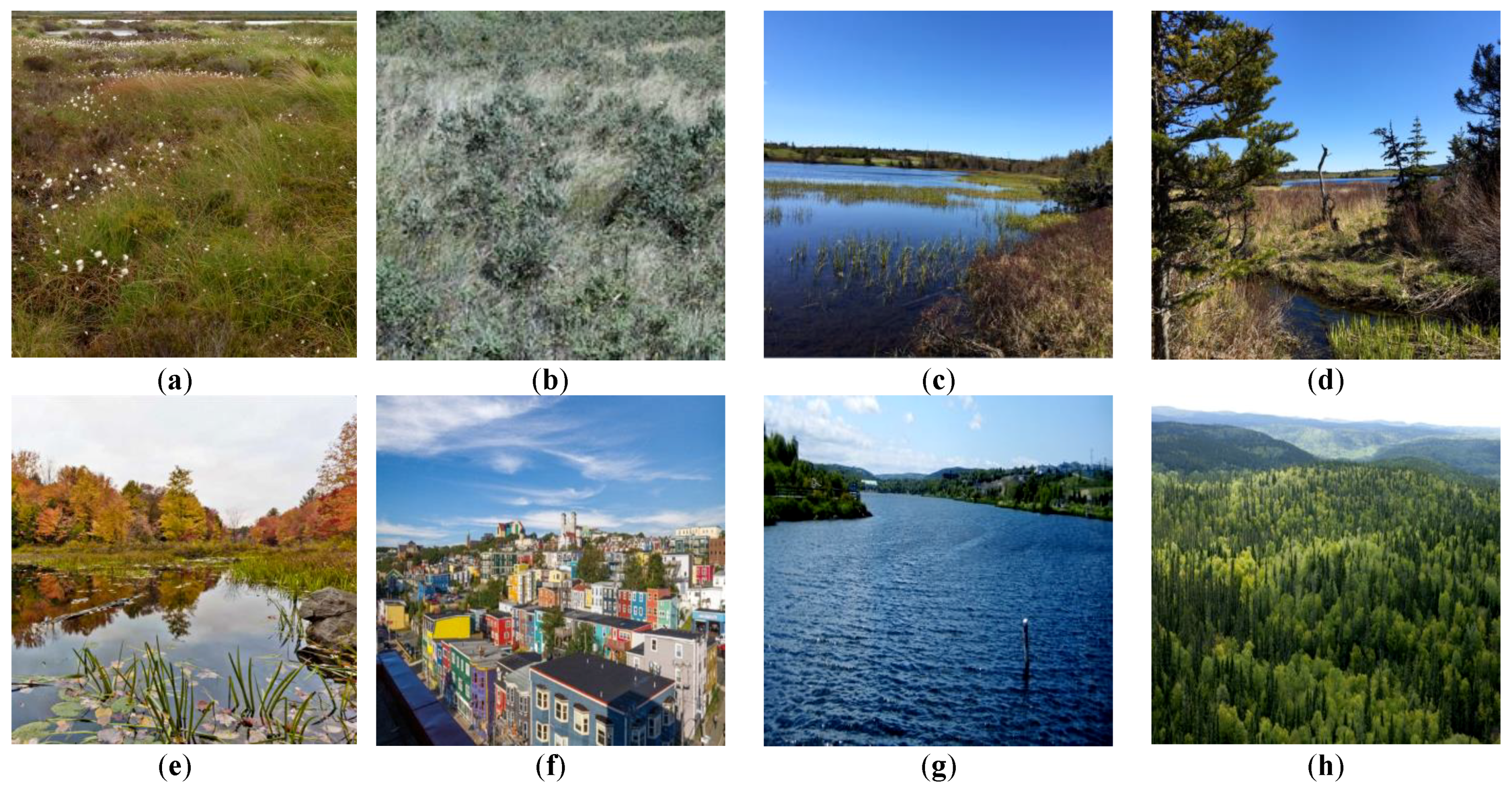 Remotesensing 10 01119 g008