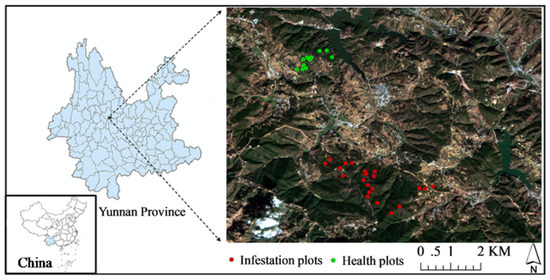 Remote Sensing July 2018 Browse Articles - 
