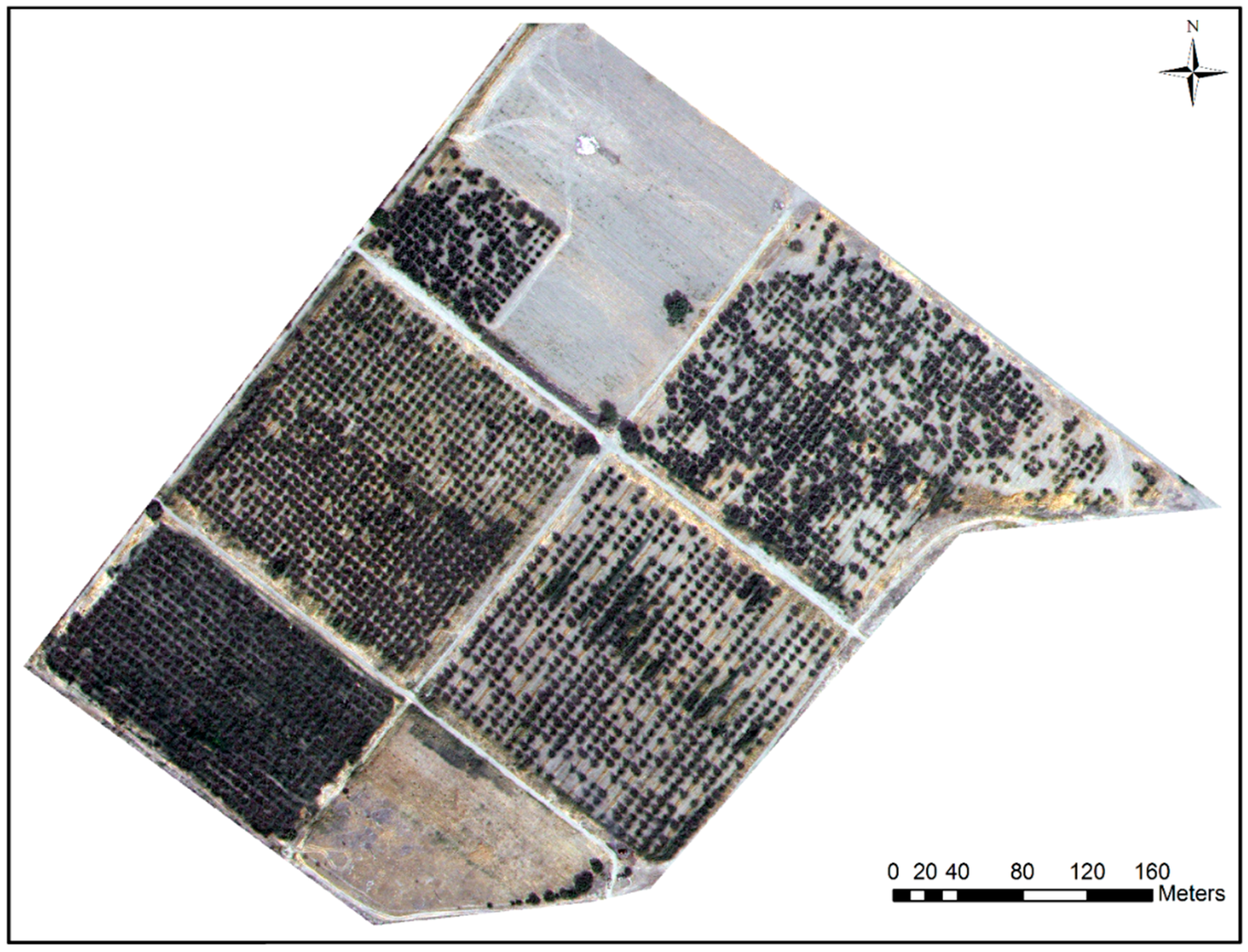 Remotesensing 10 01134 g001