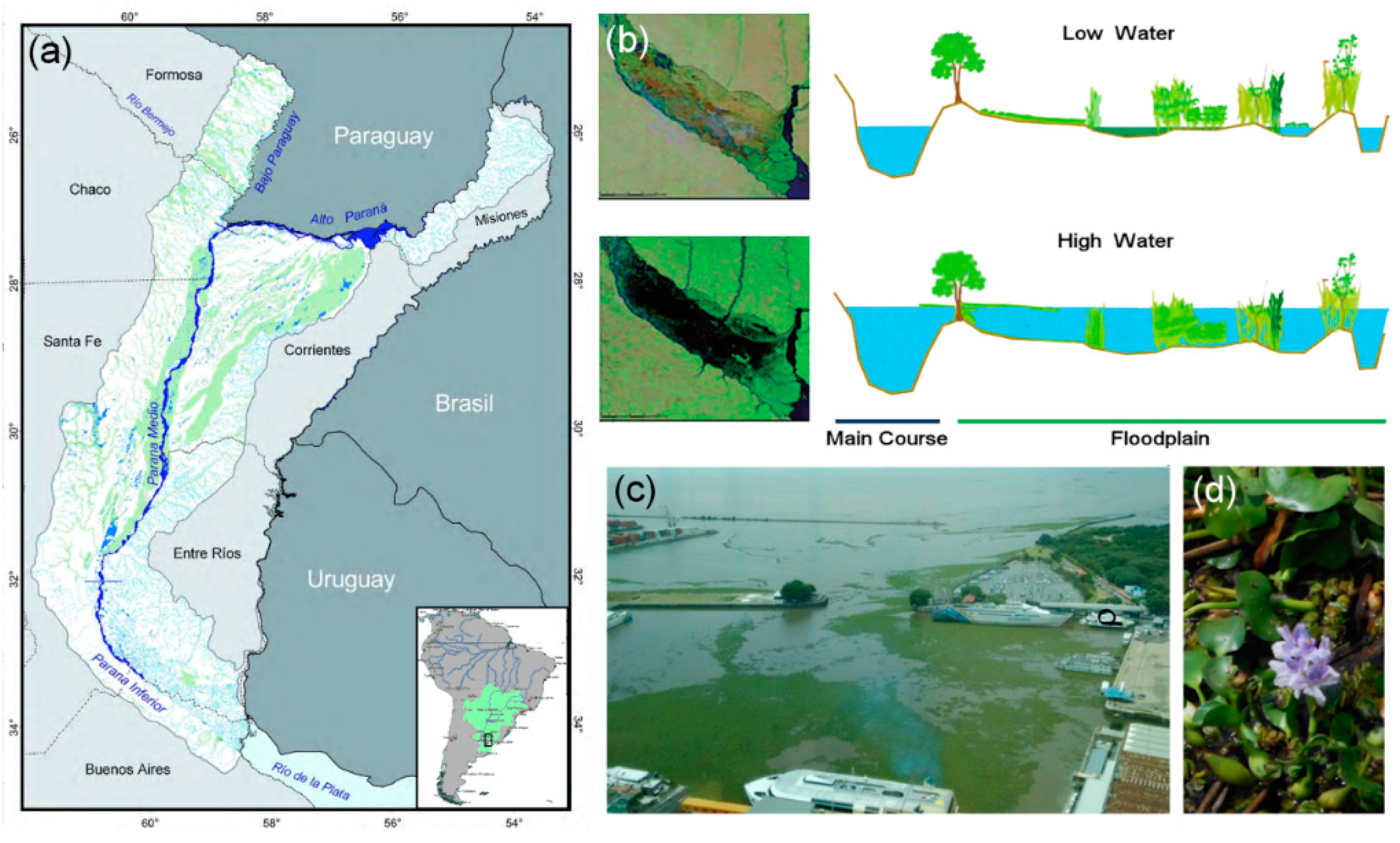 Remotesensing 10 01140 g001 Remotesensing 10 01140 g001