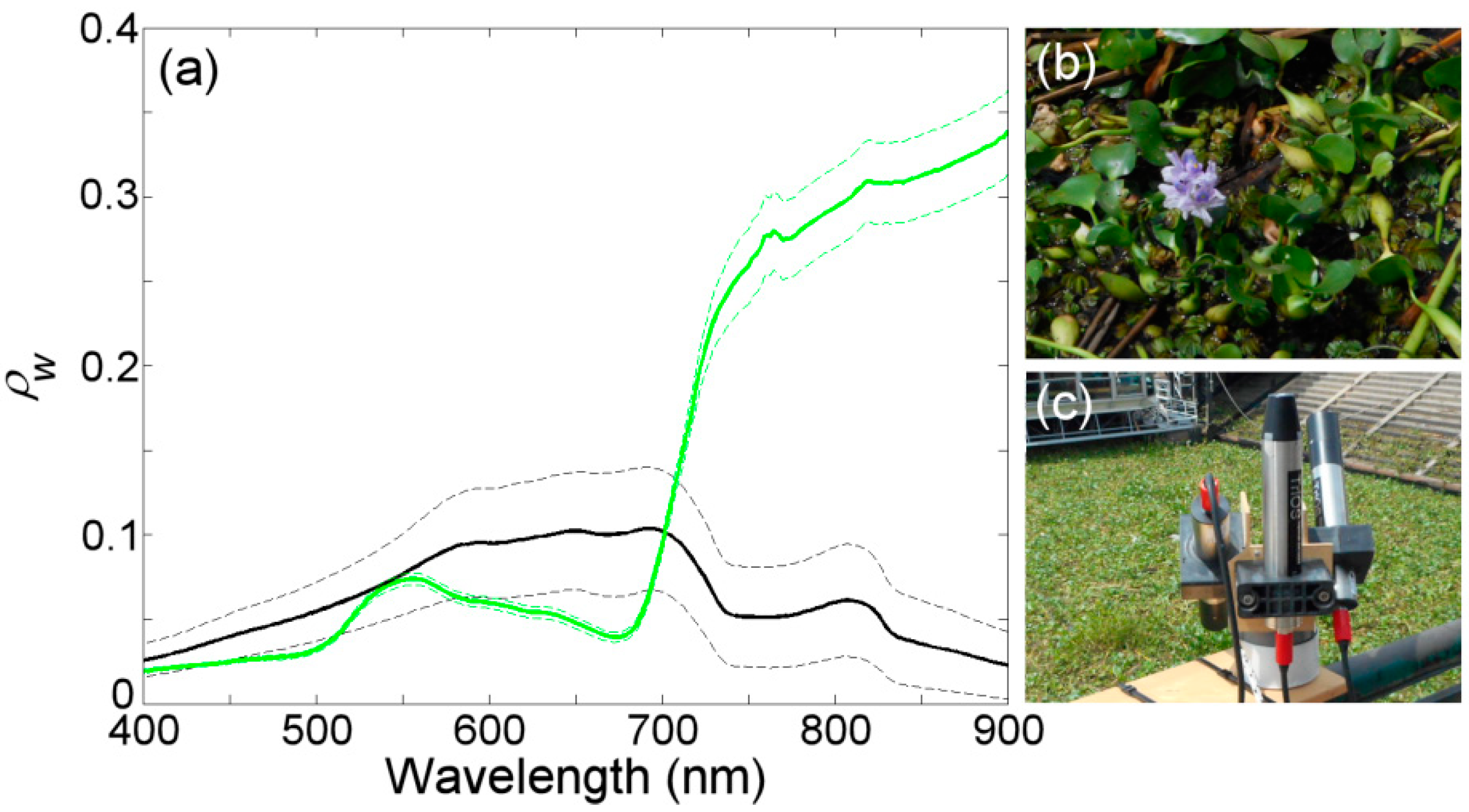 Remotesensing 10 01140 g002 Remotesensing 10 01140 g002