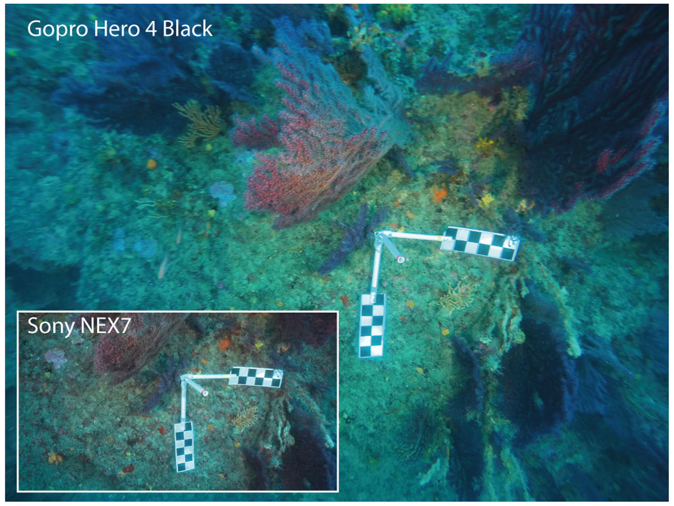 Remotesensing 10 01154 g003 Remotesensing 10 01154 g003