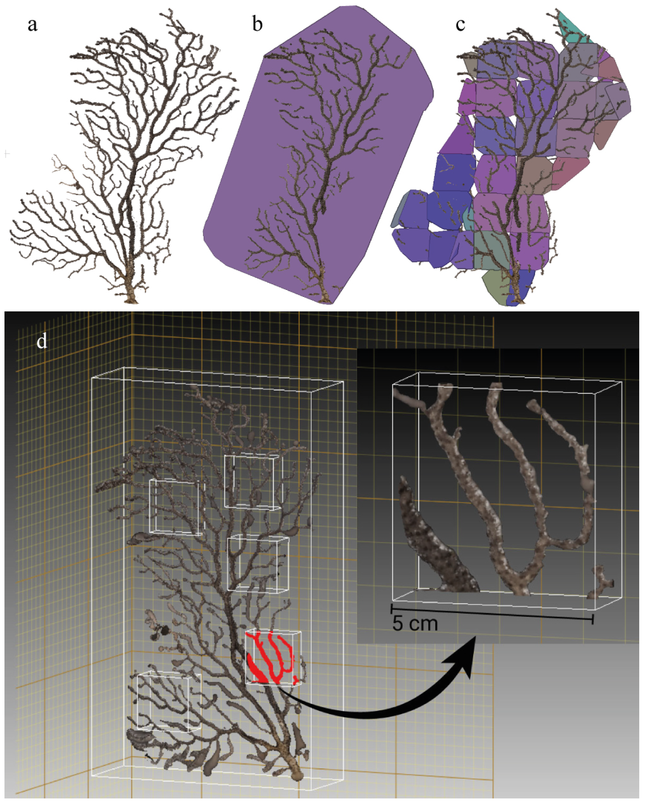 Remotesensing 10 01154 g004 Remotesensing 10 01154 g004
