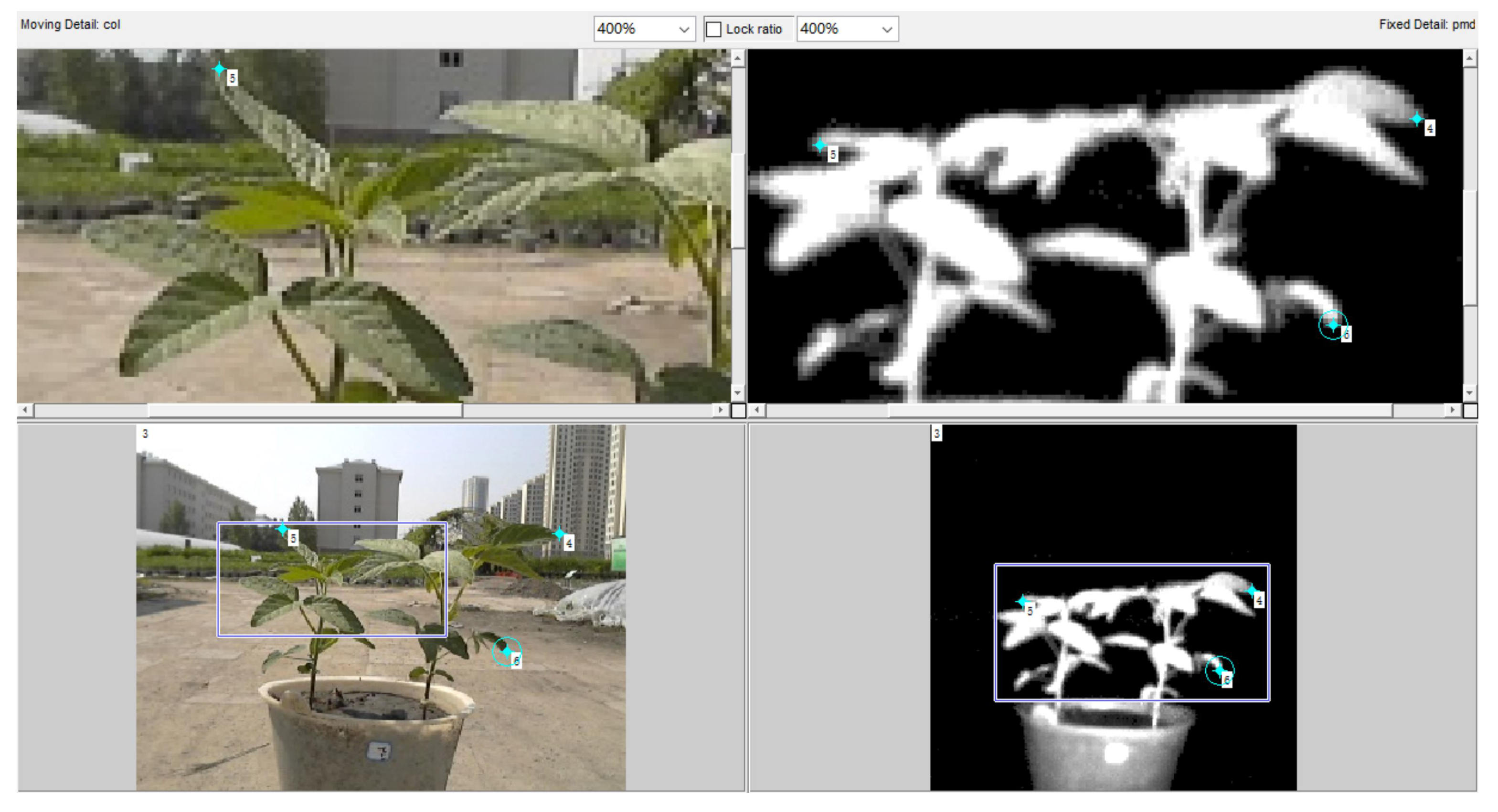 Remotesensing 10 01206 g007