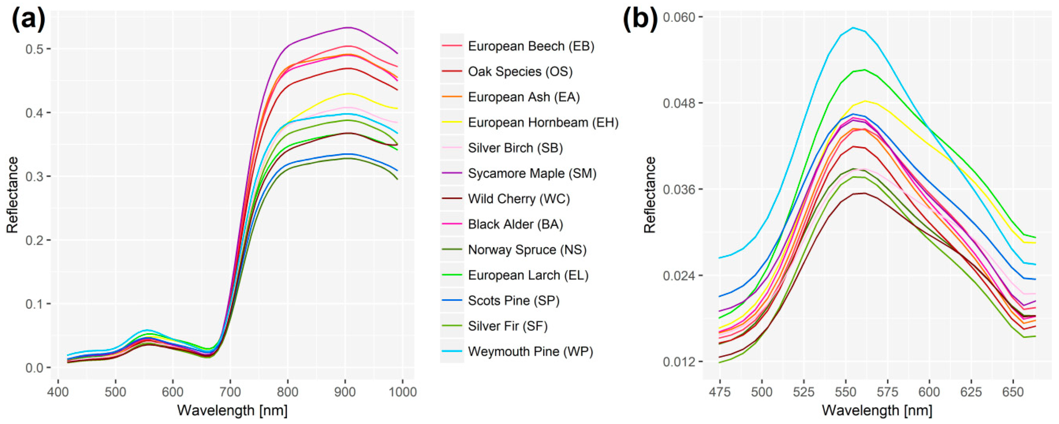 Remotesensing 10 01218 g006