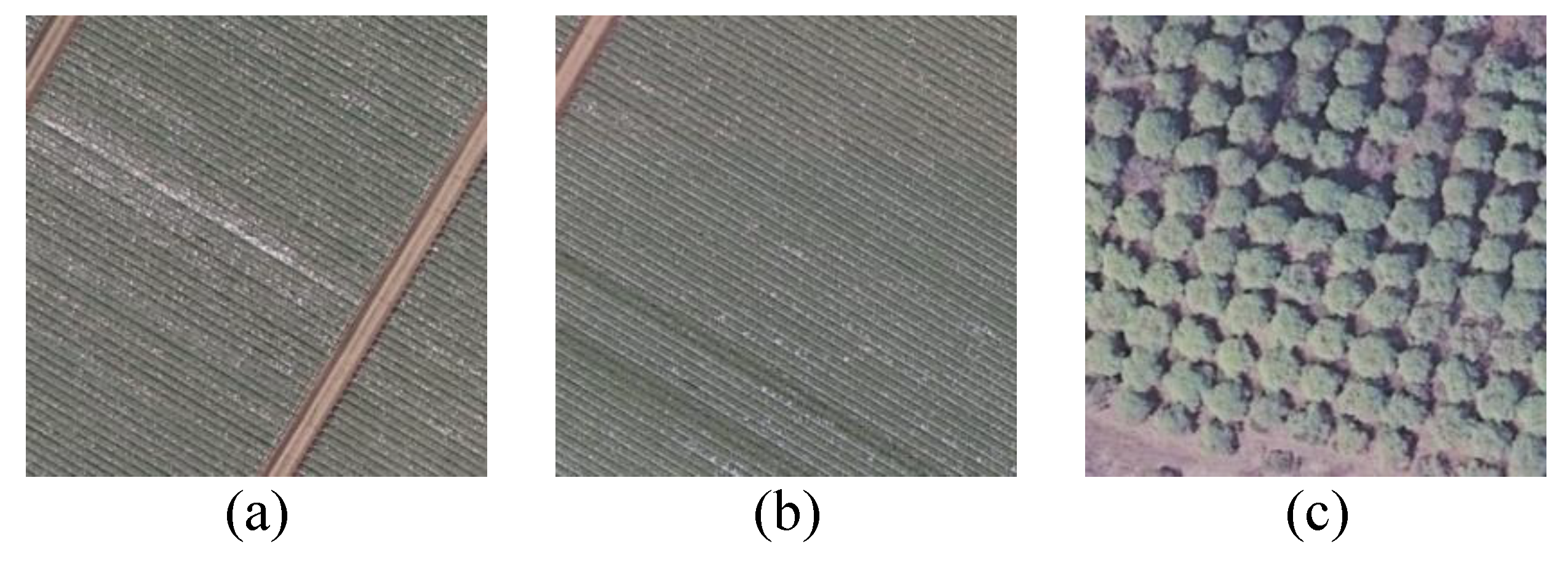 Remotesensing 10 01243 g003