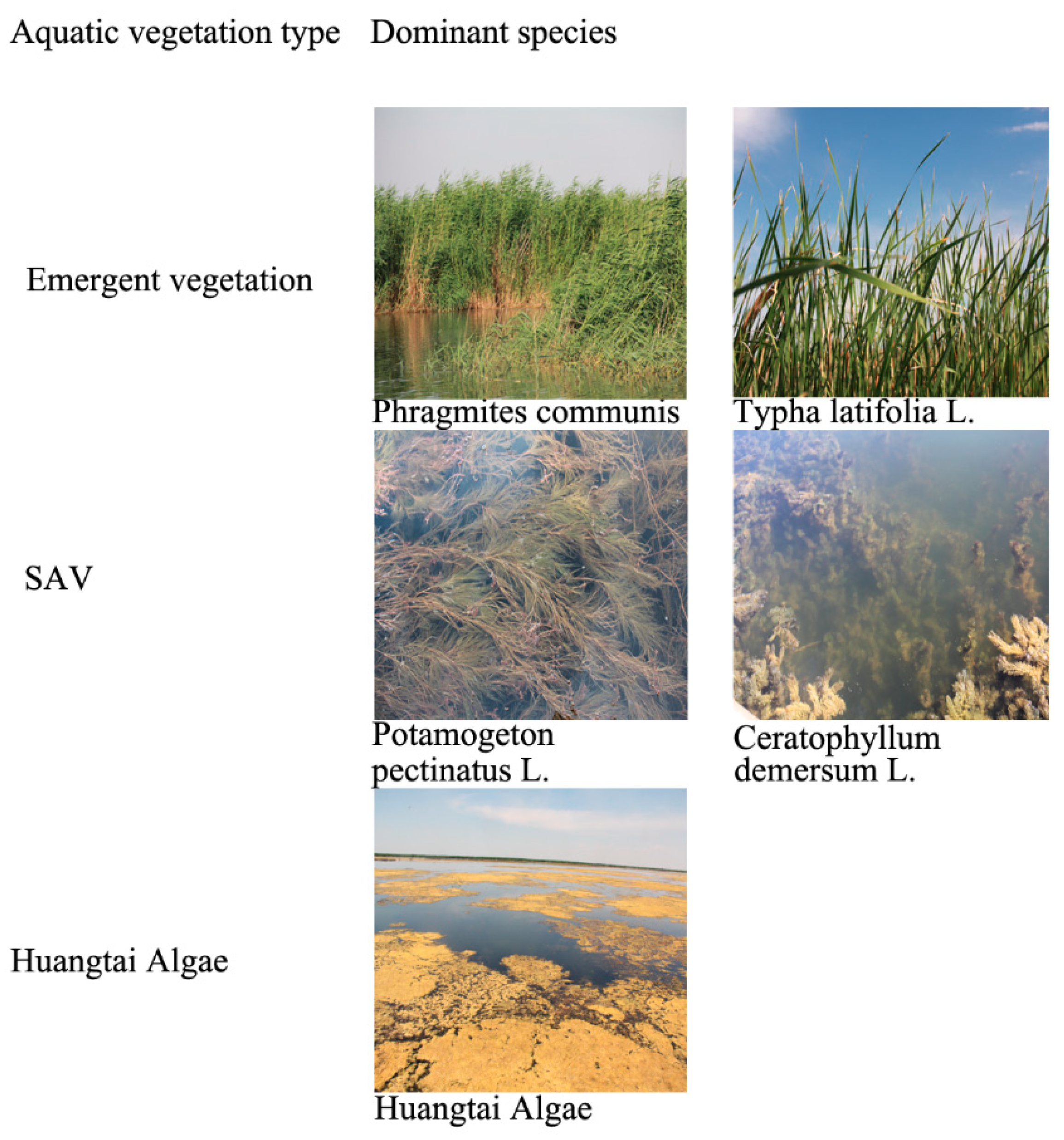 Remotesensing 10 01279 g001 Remotesensing 10 01279 g001