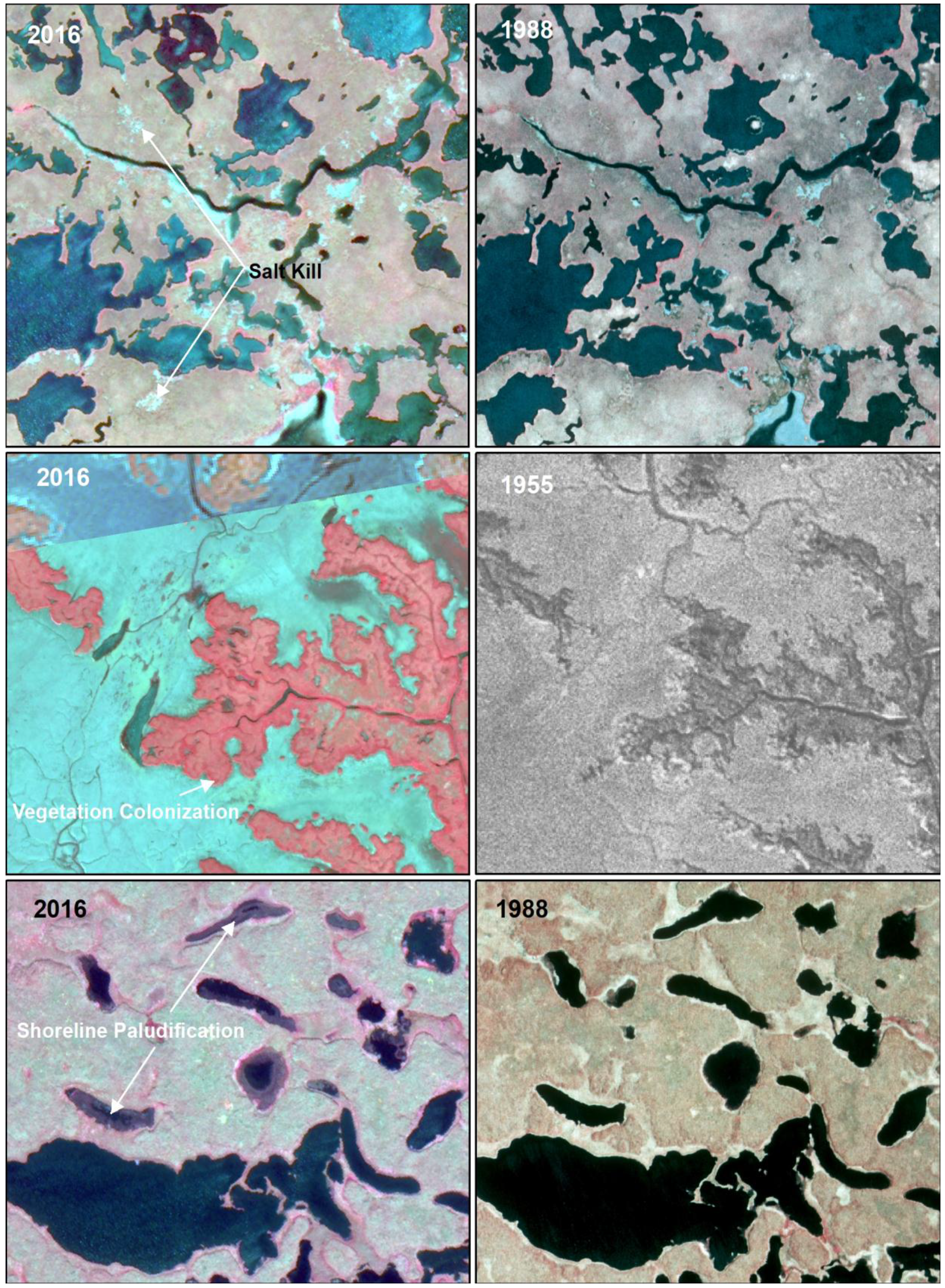 Remotesensing 10 01280 g005 Remotesensing 10 01280 g005