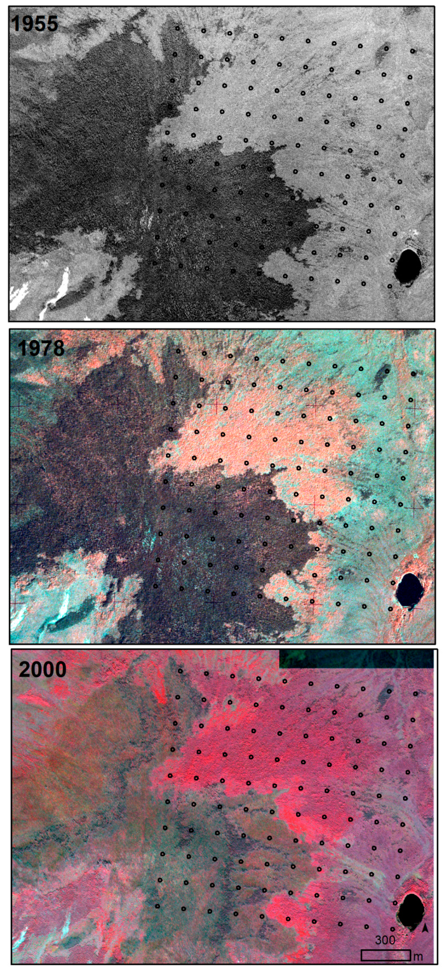 Remotesensing 10 01305 g006