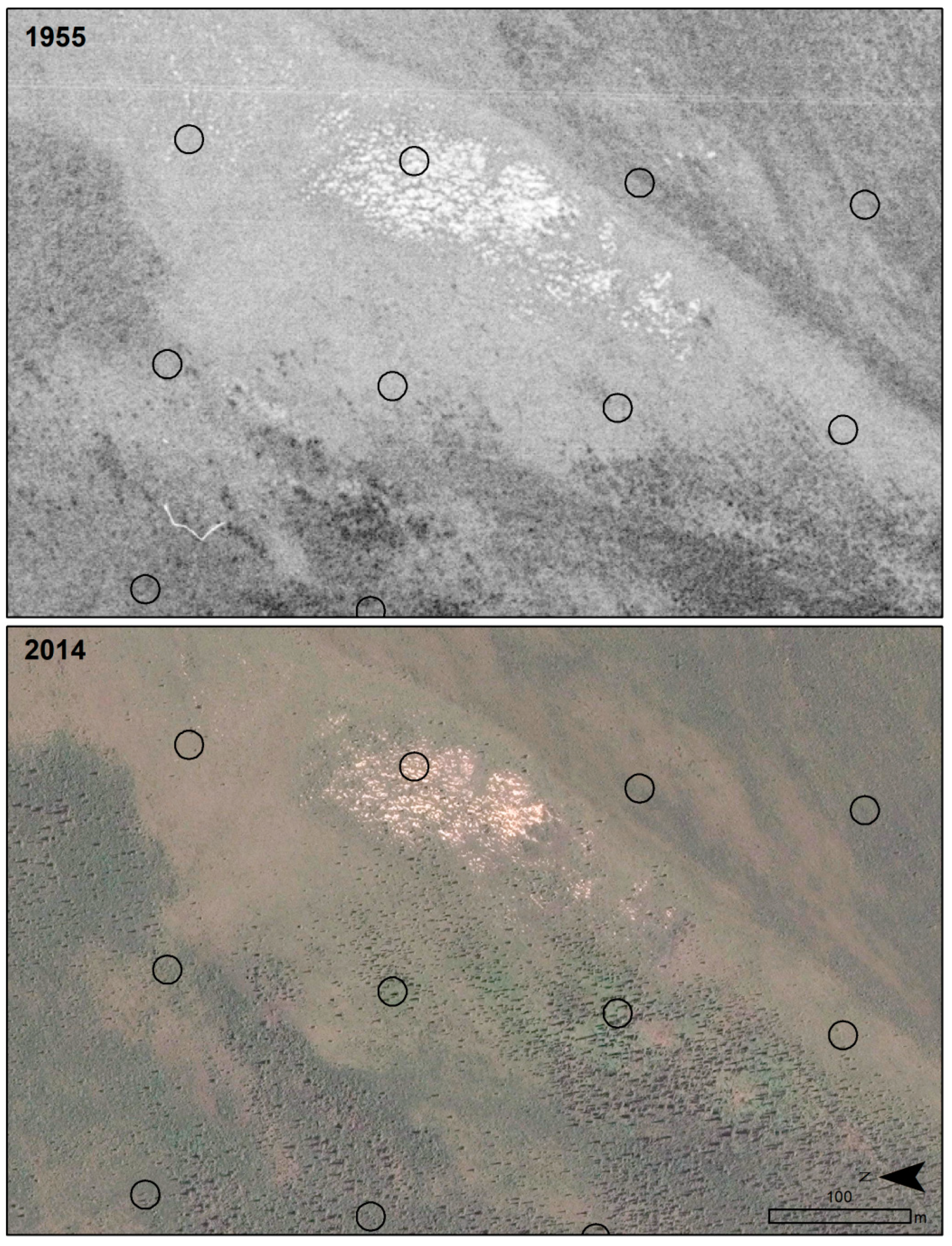 Remotesensing 10 01305 g008