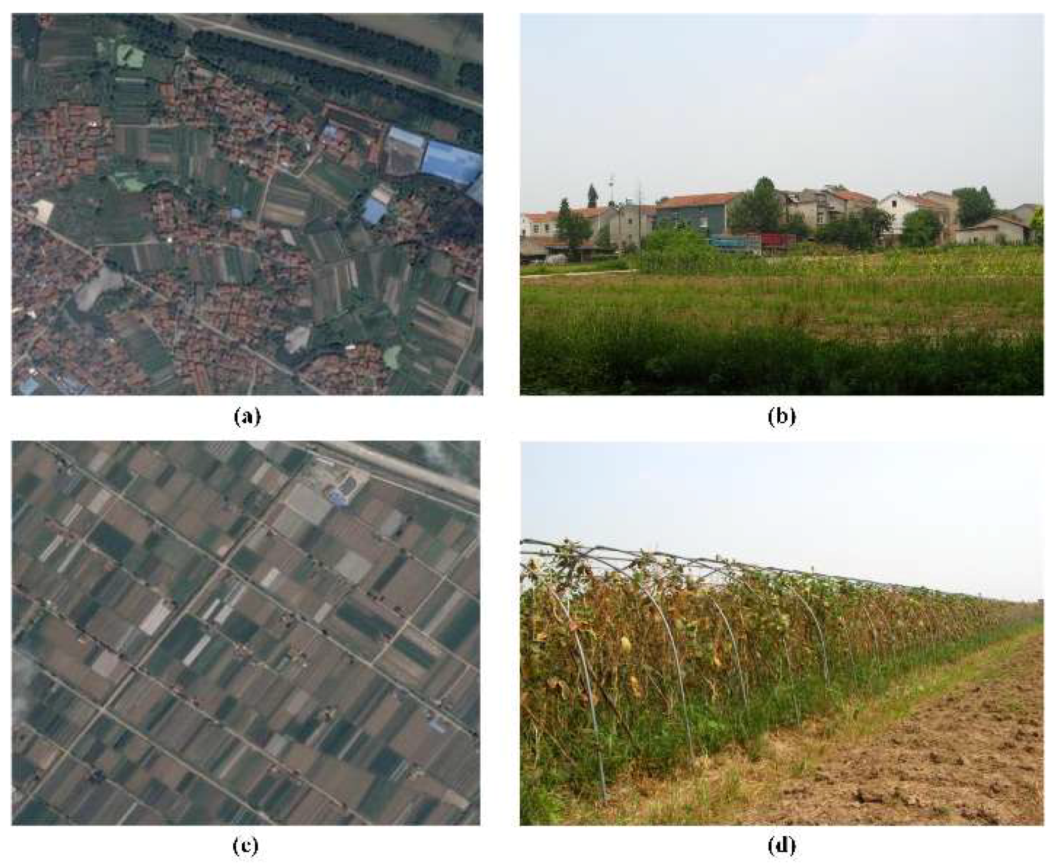 Remotesensing 10 01307 g009