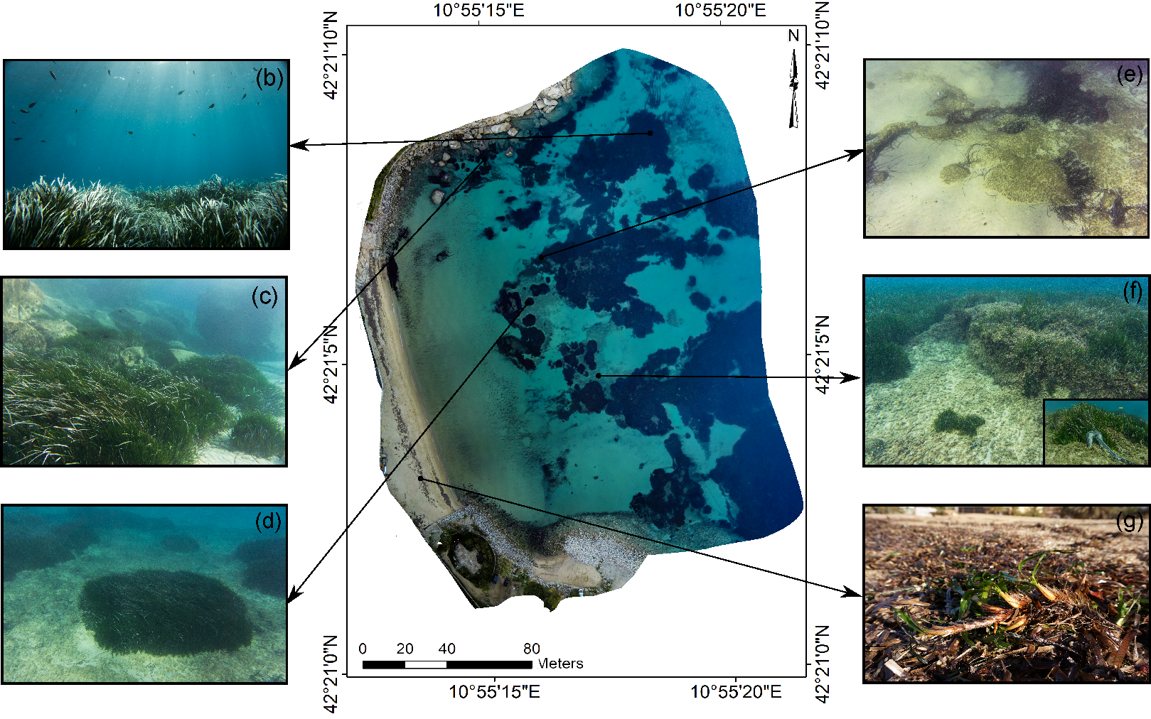 Remotesensing 10 01331 g005 Remotesensing 10 01331 g005