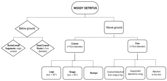 Remote Sensing Free Full Text Airborne And Terrestrial Laser Scanning Data For The Assessment Of Standing And Lying Deadwood Current Situation And New Perspectives Html Remote Sensing Free Full Text Airborne And Terrestrial Laser Scanning Data For The Assessment Of Standing And Lying Deadwood Current Situation And New Perspectives Html