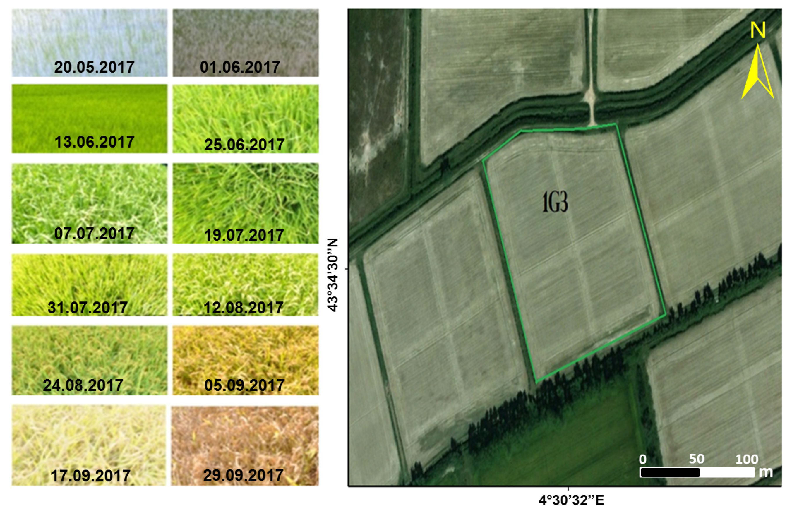 Remotesensing 10 01394 g003