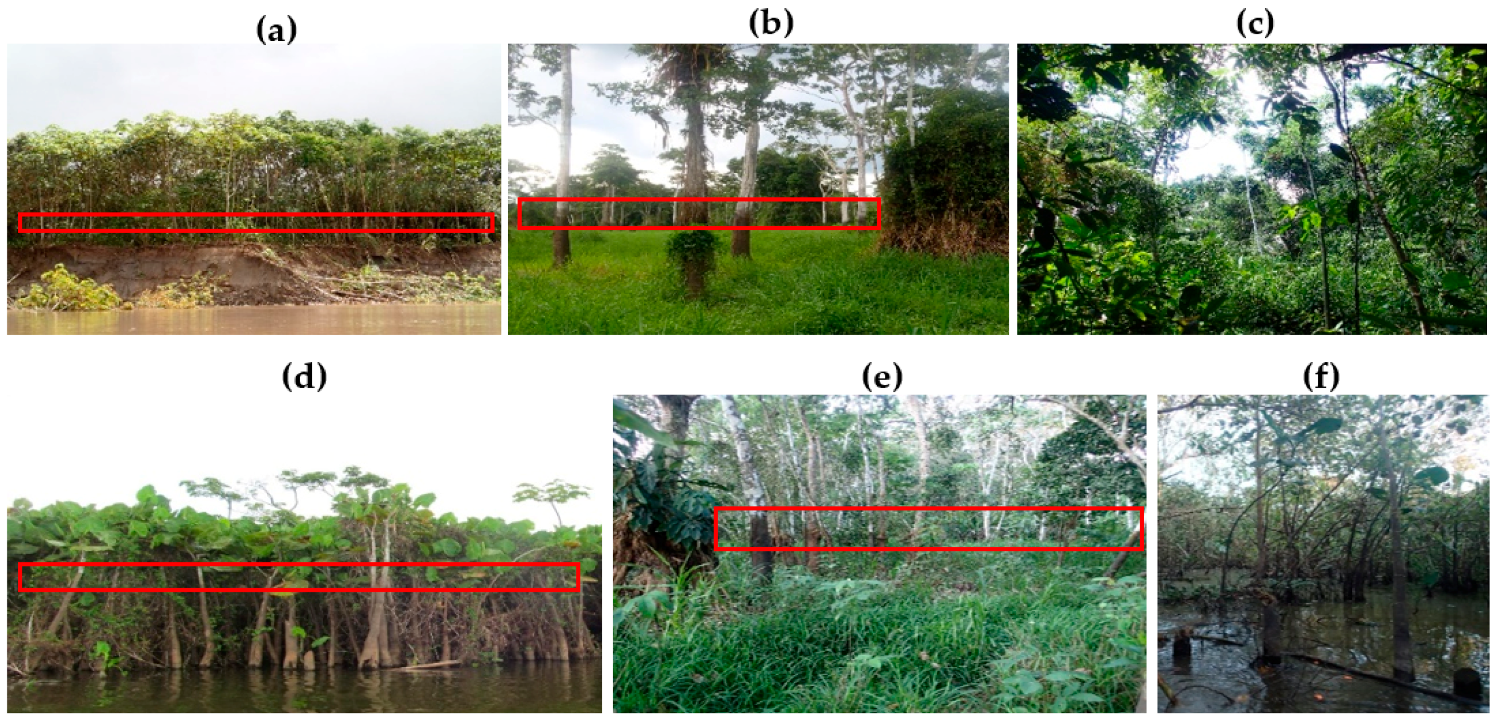 Remotesensing 10 01431 g006