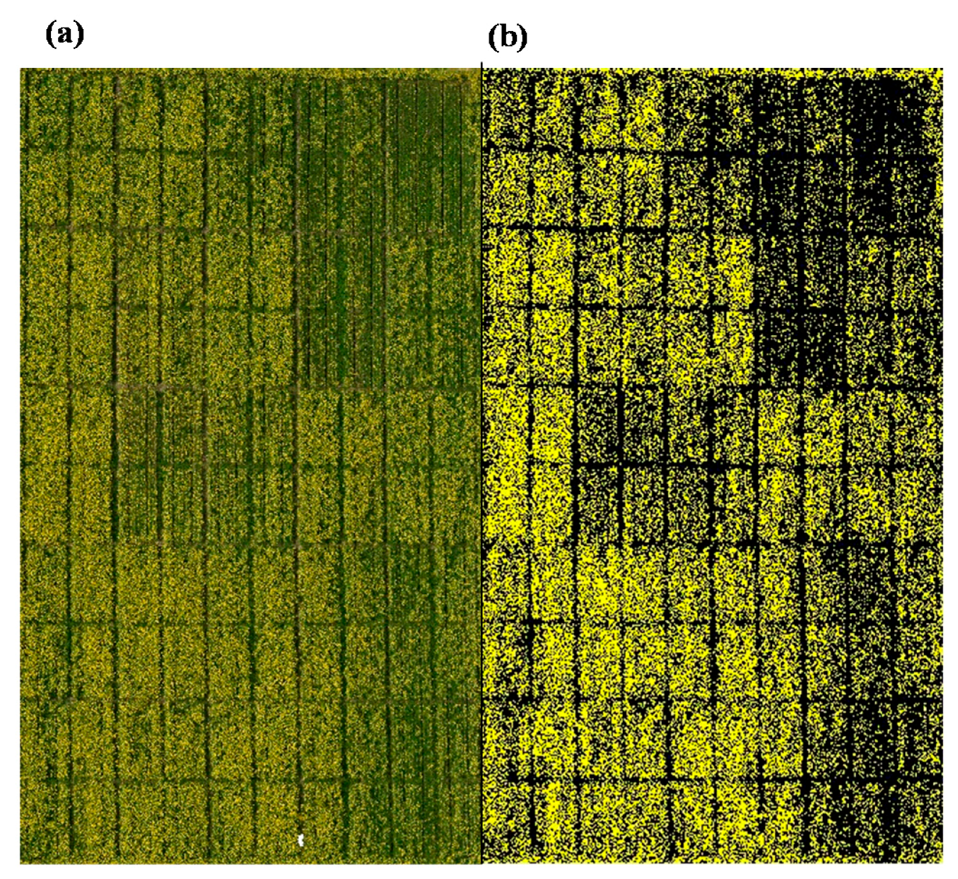Remotesensing 10 01484 g005