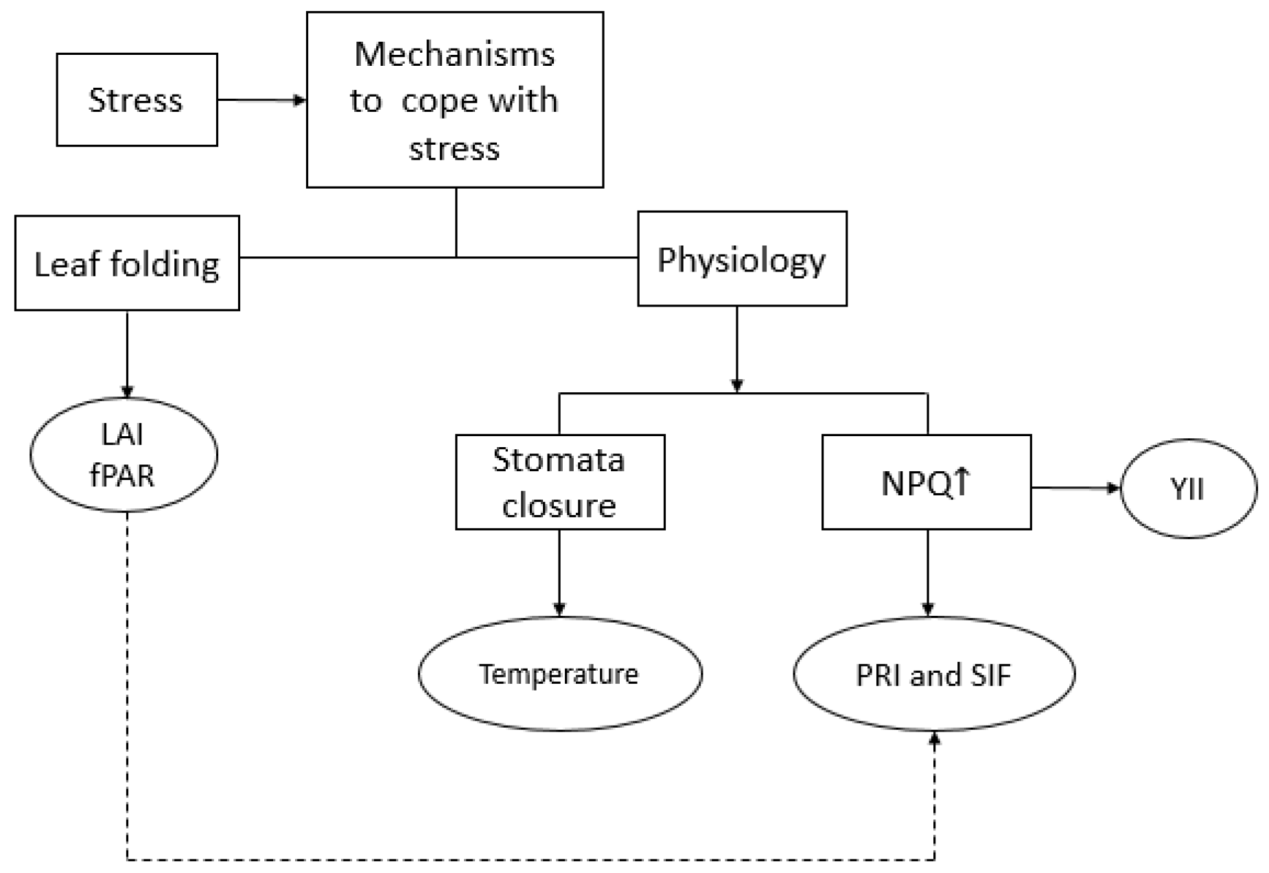 Remotesensing 10 01510 g011