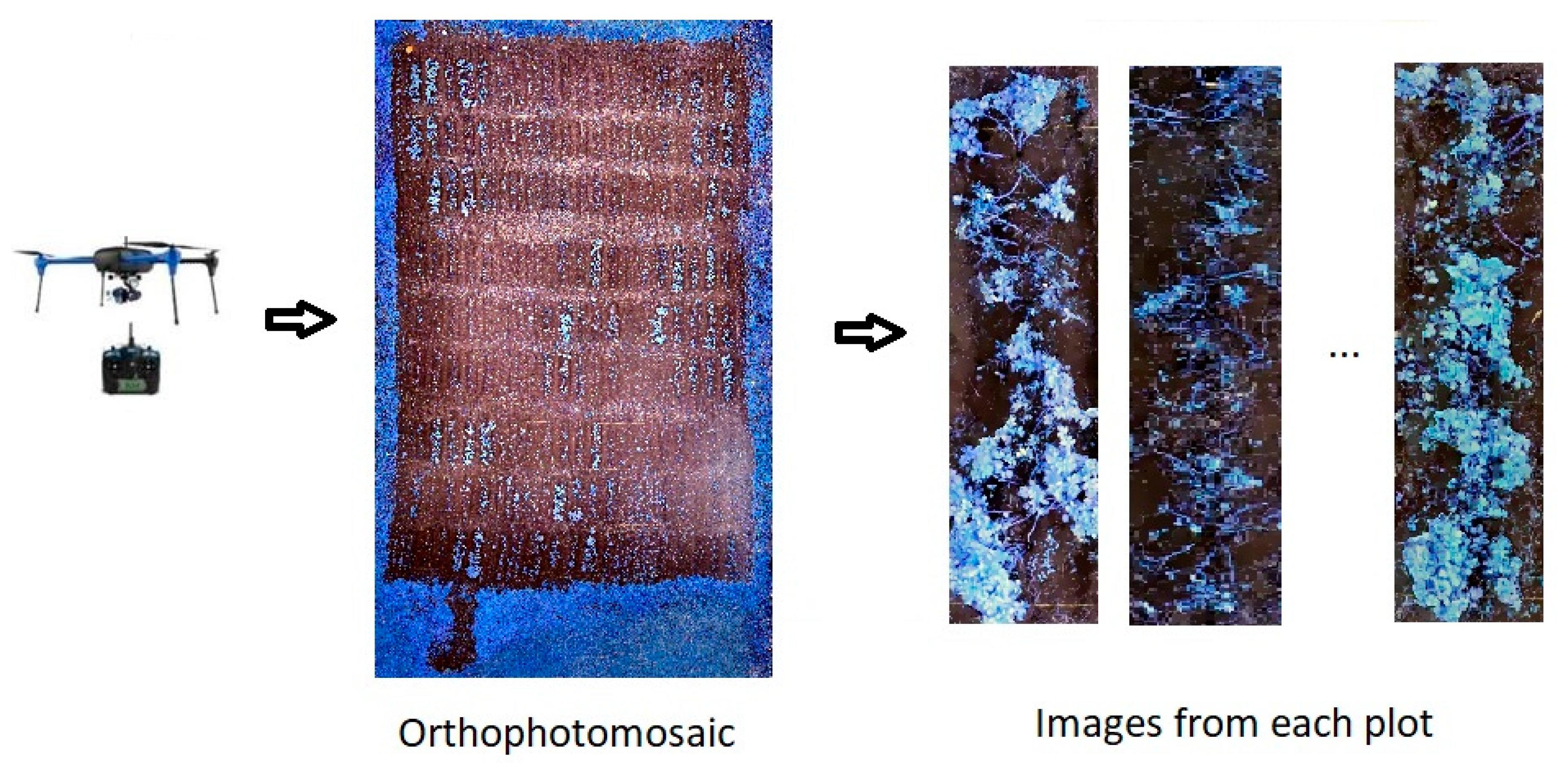 Remotesensing 10 01513 g002