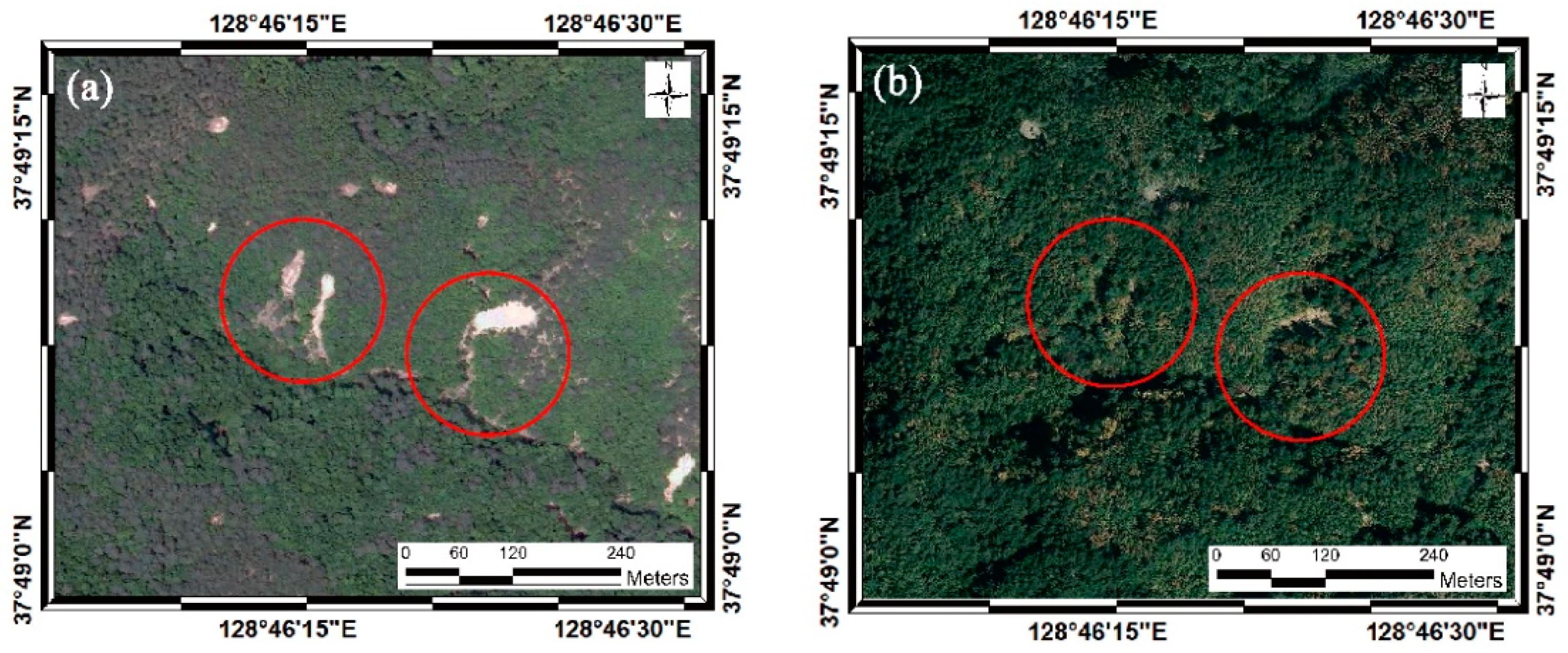 Remotesensing 10 01545 g002