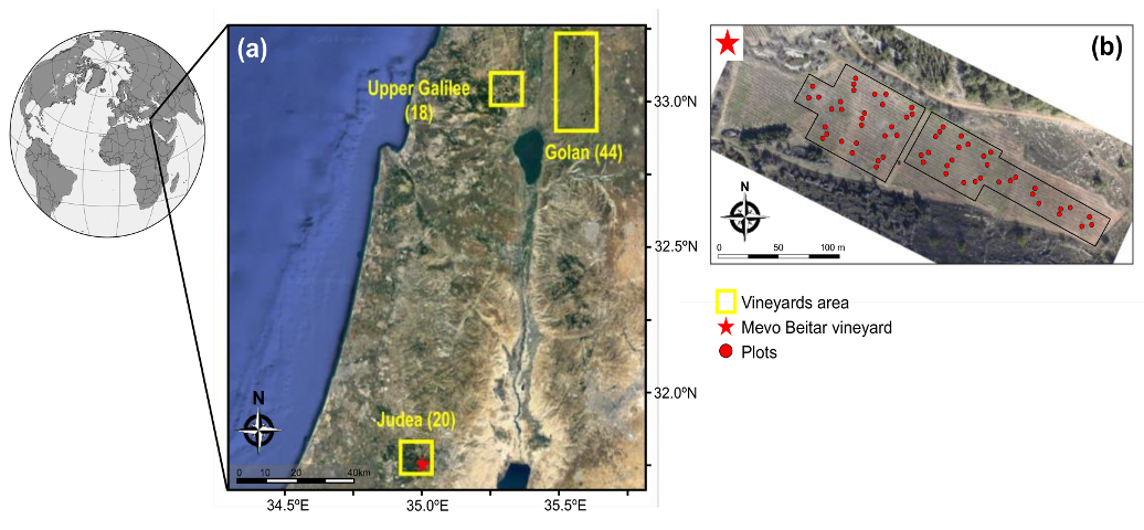 Remotesensing 10 01615 g001
