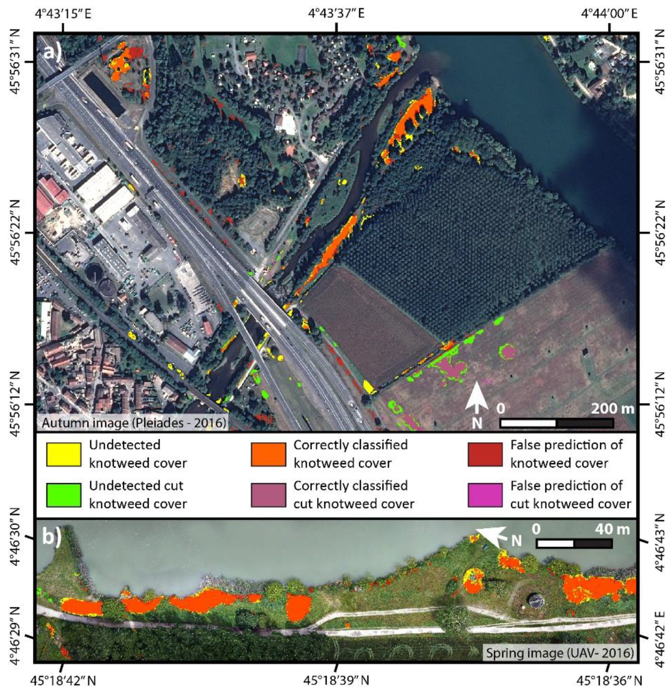 Remote Sensing Free Full Text Using Single And Multi Date Uav And Satellite Imagery To Accurately Monitor Invasive Knotweed Species Html Remote Sensing Free Full Text Using Single And Multi Date Uav And Satellite Imagery To Accurately Monitor Invasive Knotweed Species Html