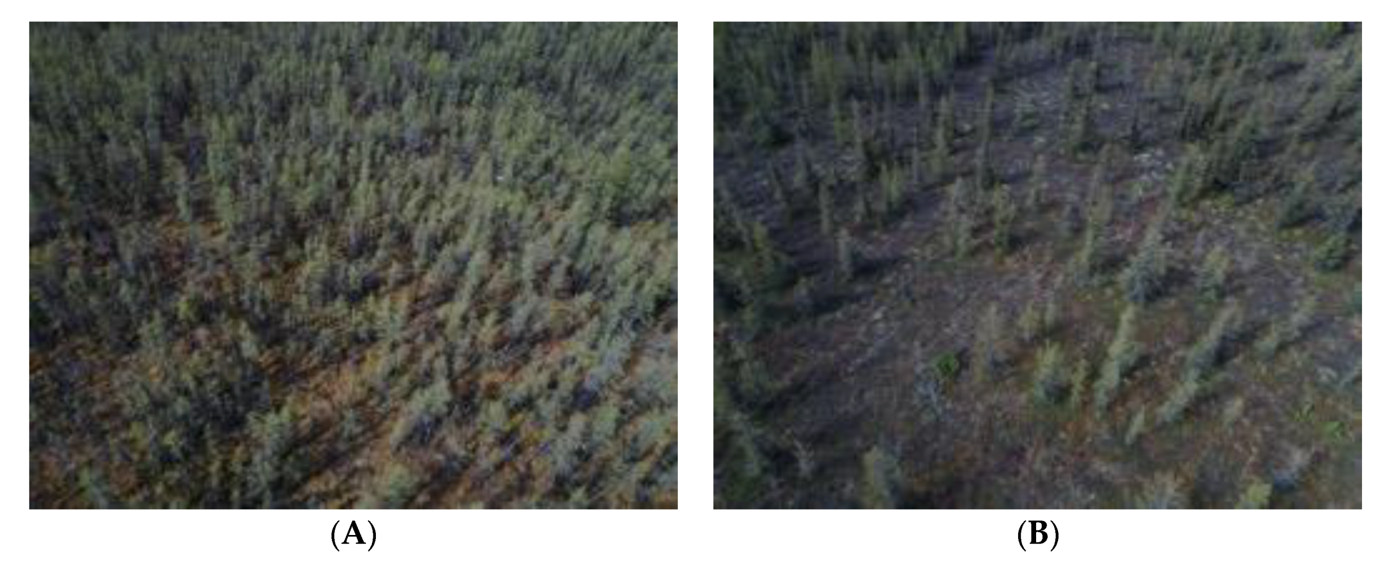 Remotesensing 10 01686 g002 Remotesensing 10 01686 g002