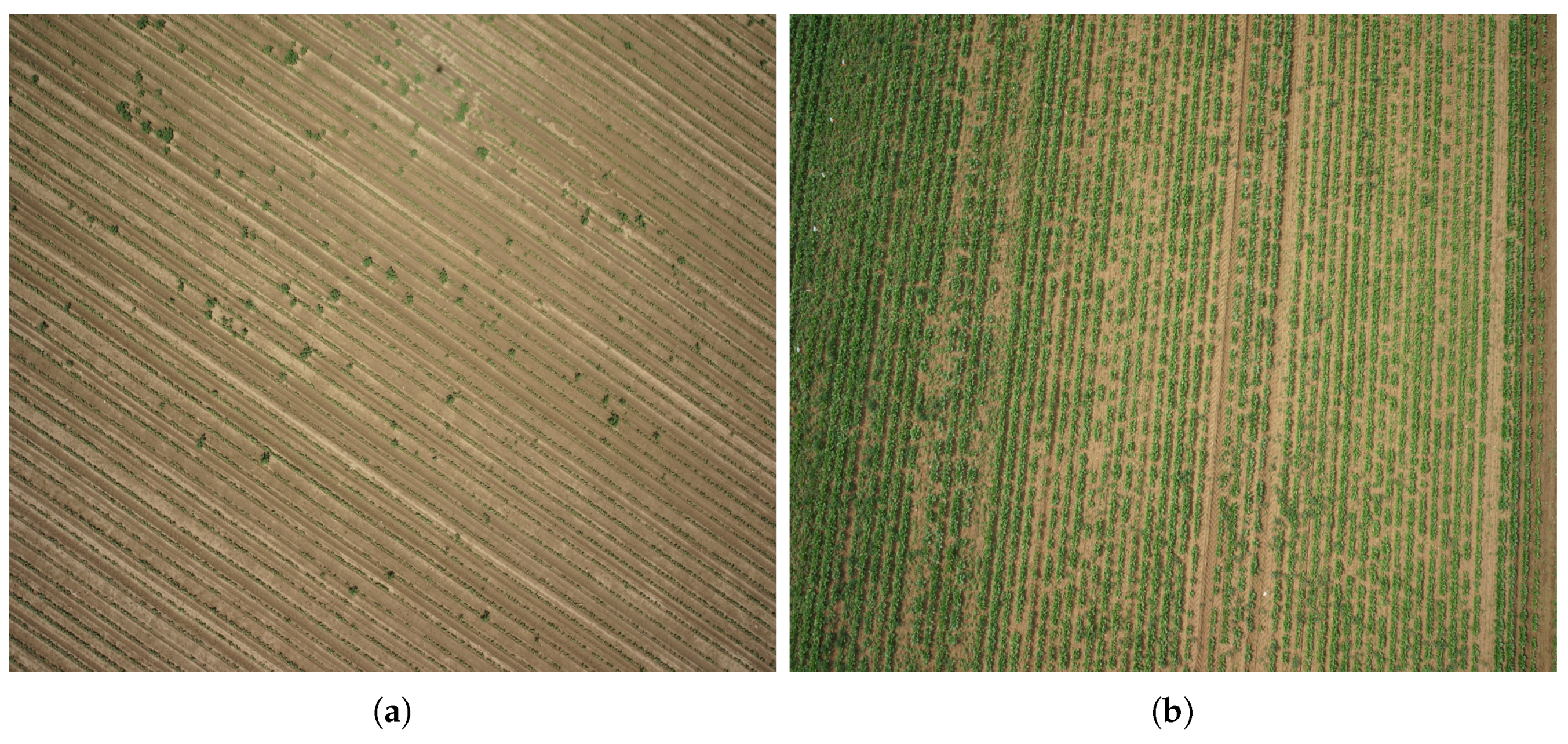 Remotesensing 10 01690 g006