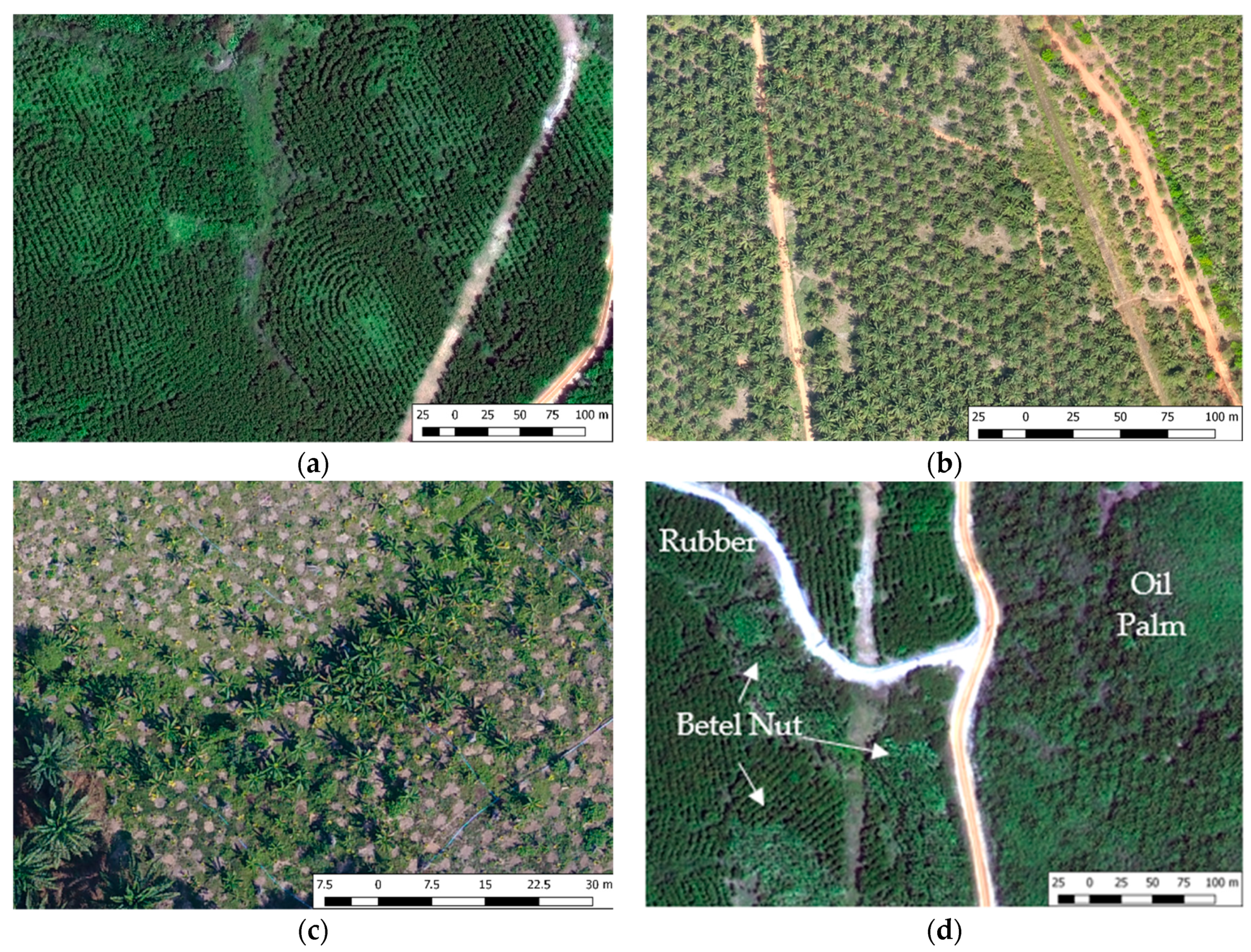 Remotesensing 10 01693 g004