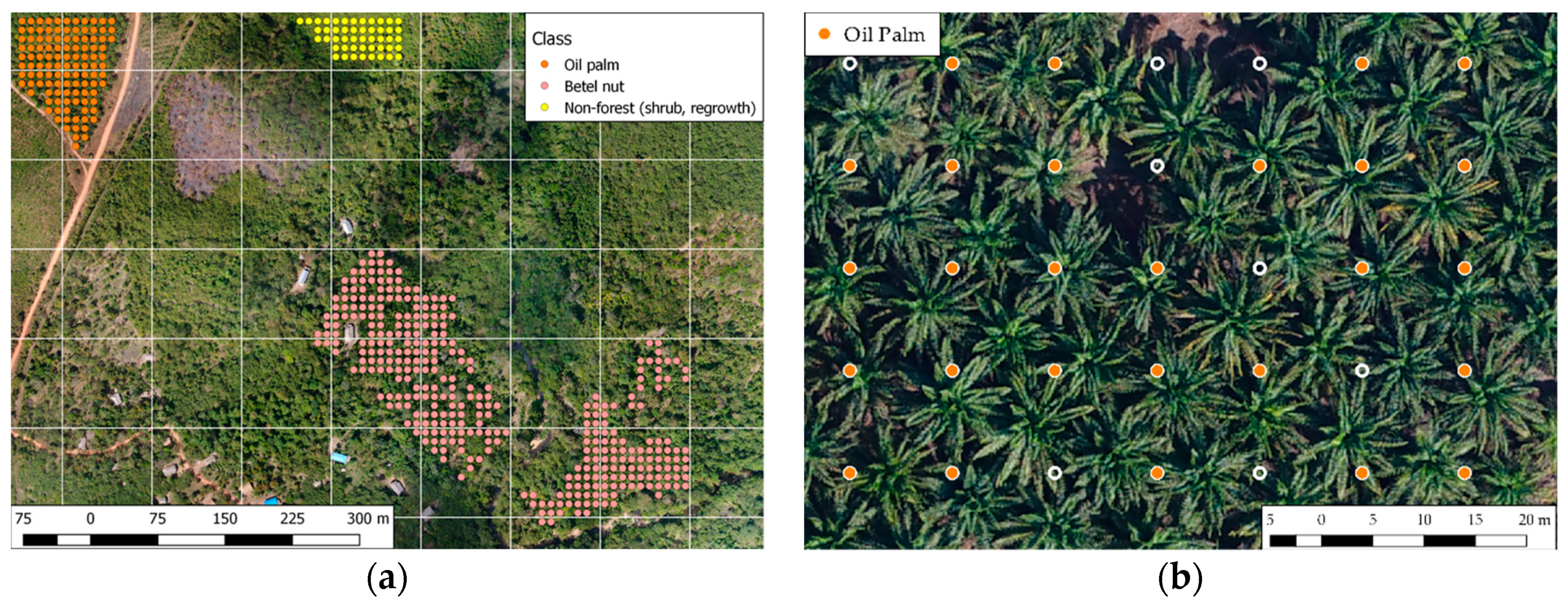 Remotesensing 10 01693 g005