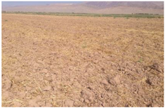 Remotesensing 10 01711 i002 Remotesensing 10 01711 i002