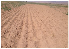 Remotesensing 10 01711 i003 Remotesensing 10 01711 i003