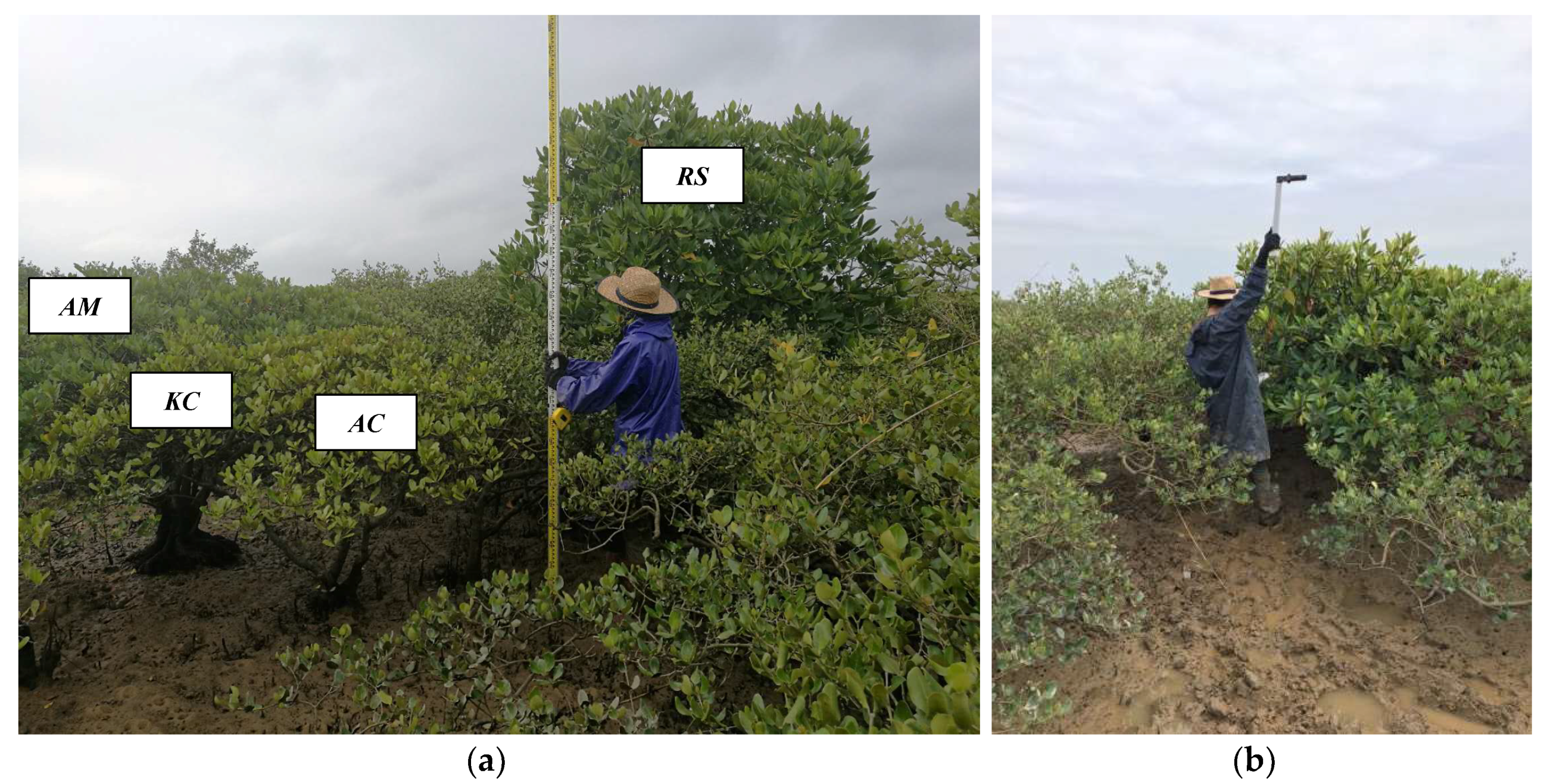 Remotesensing 10 01739 g001