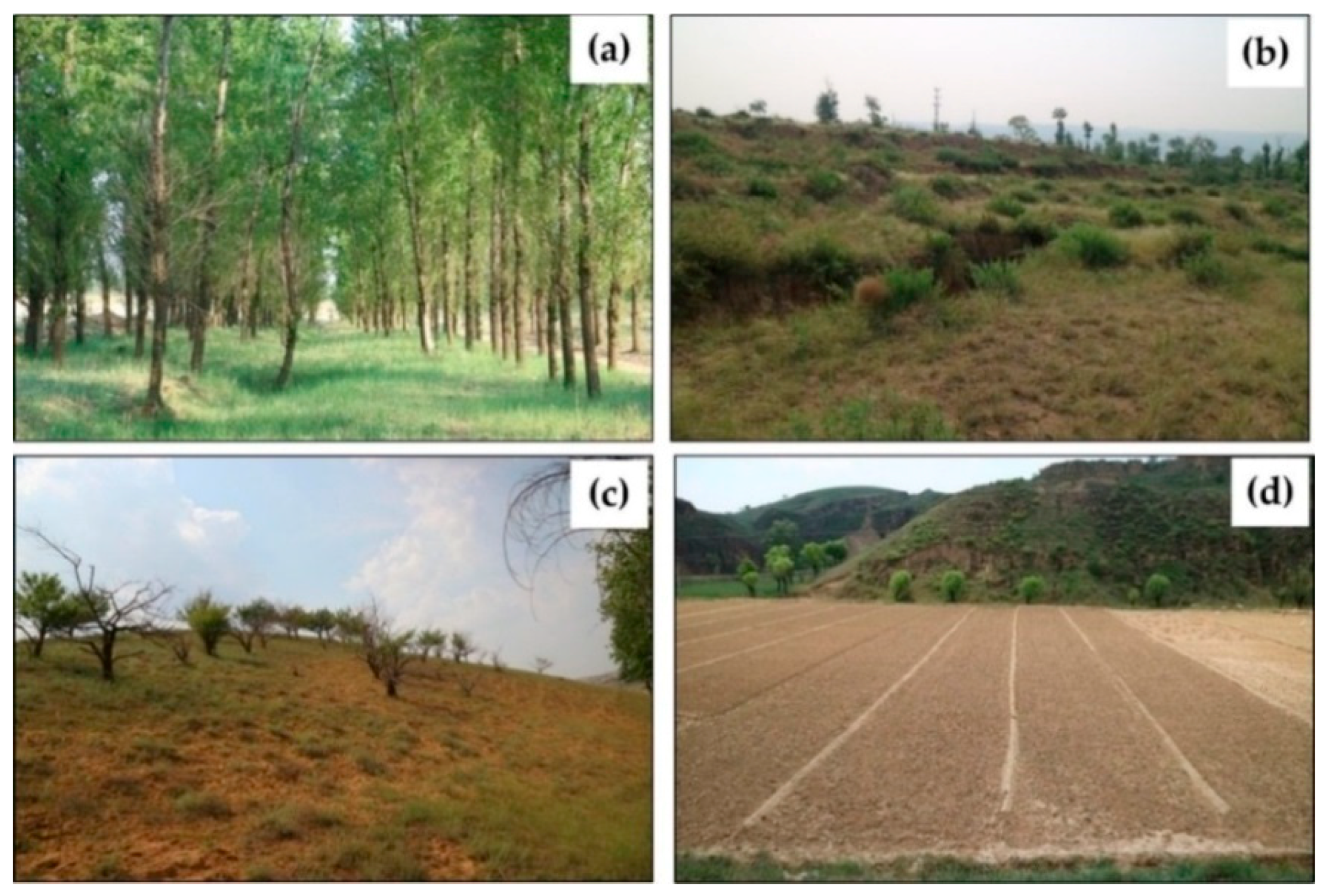 Remotesensing 10 01775 g003 Remotesensing 10 01775 g003