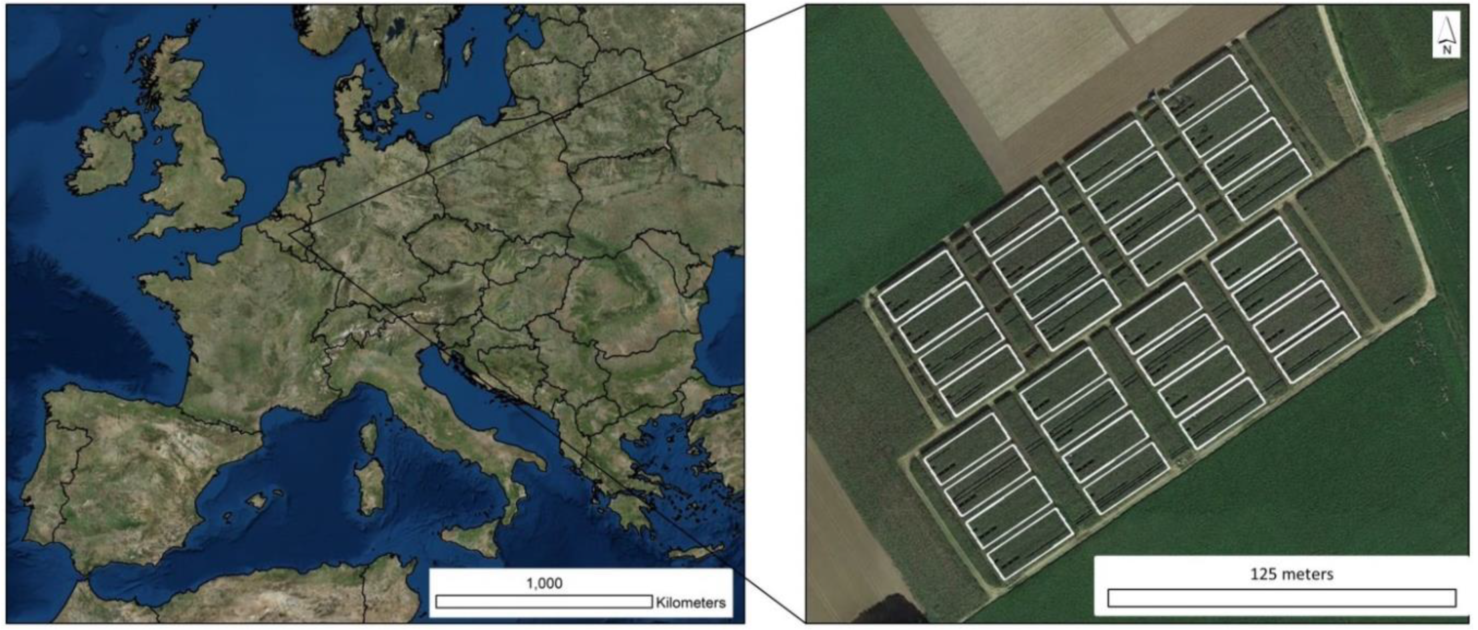 Remotesensing 10 01798 g001
