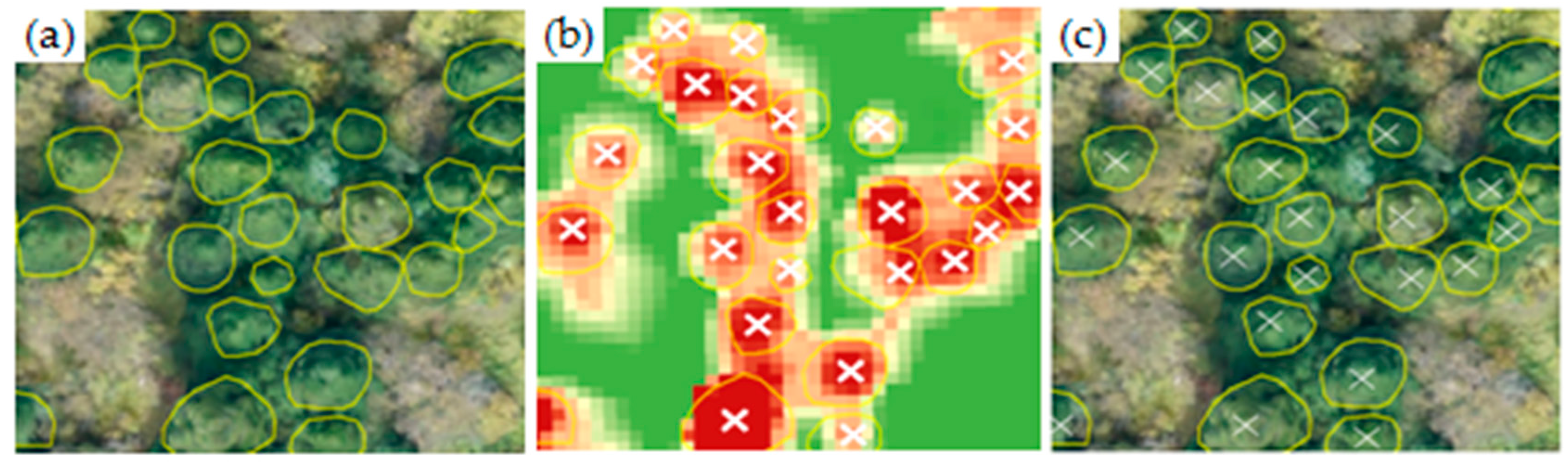 Remotesensing 10 01849 g006 Remotesensing 10 01849 g006