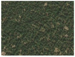 Remotesensing 10 01862 i001