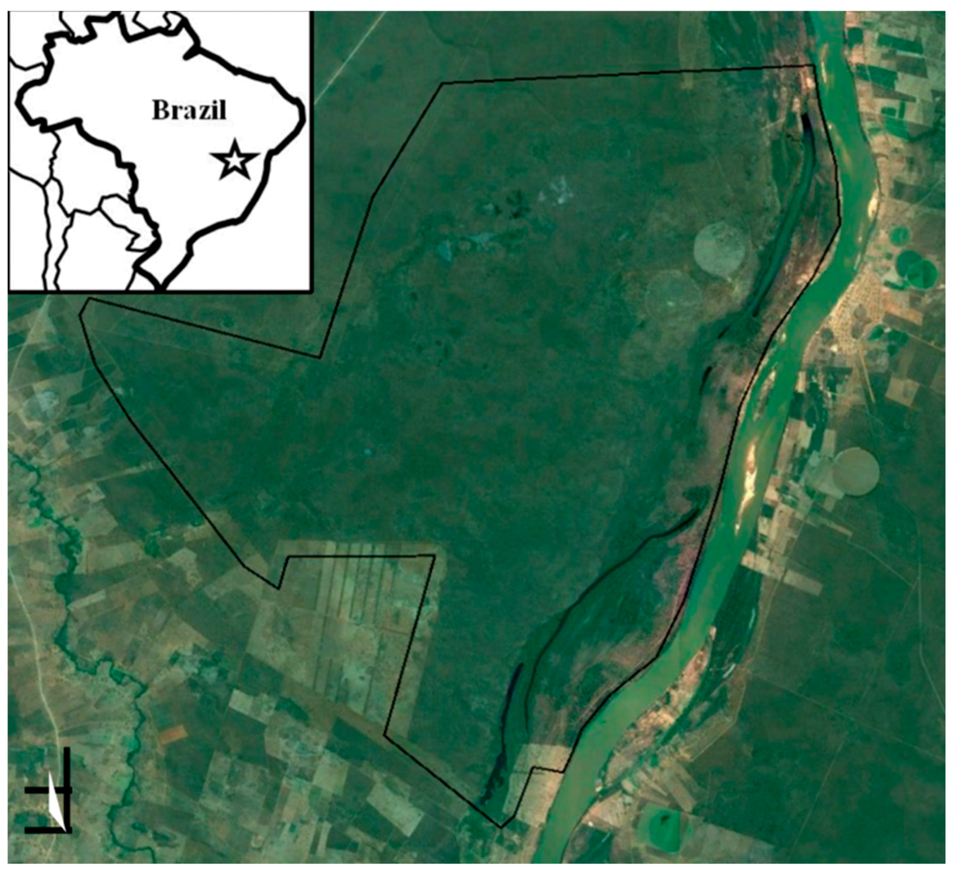 Remotesensing 10 01865 g001